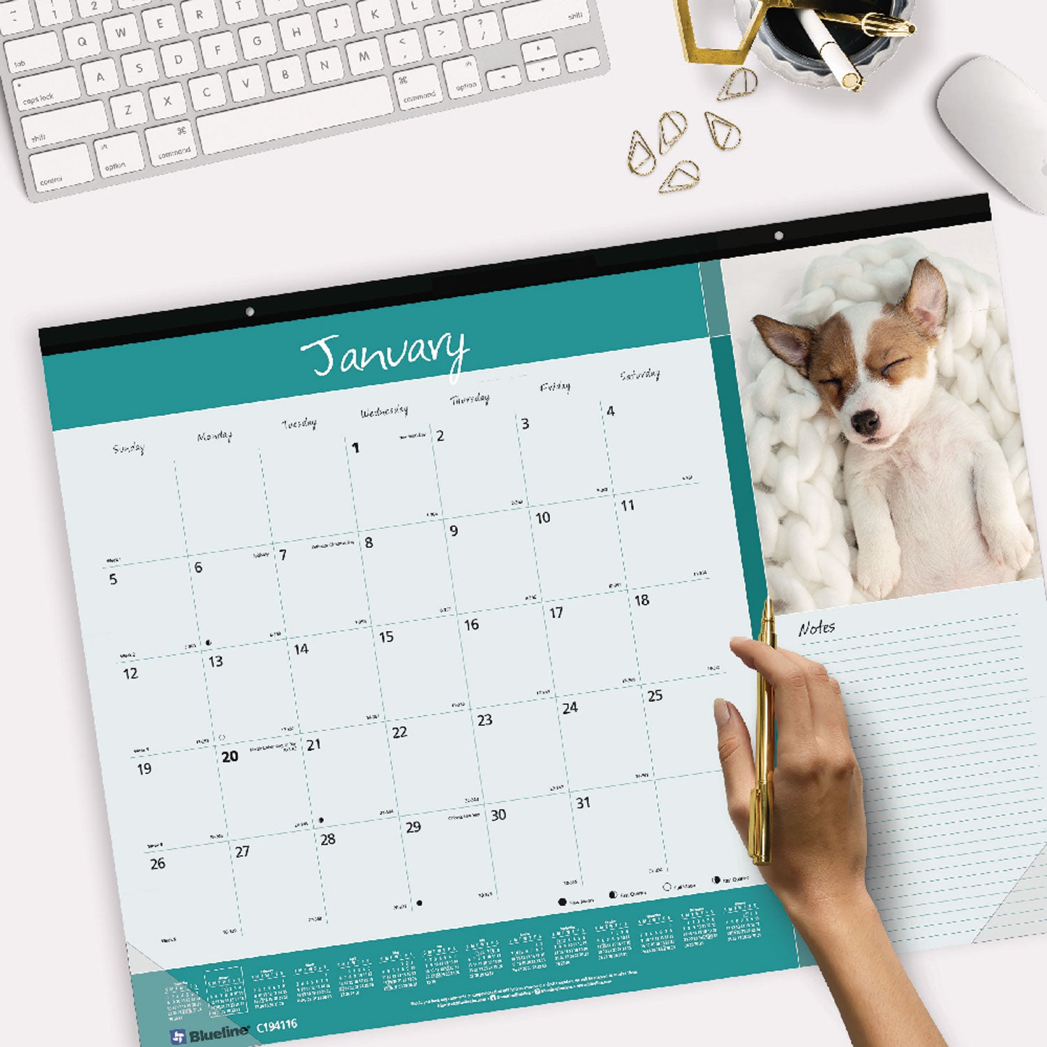 Blueline Man's Best Friend Dogs Desk Pad Calendar