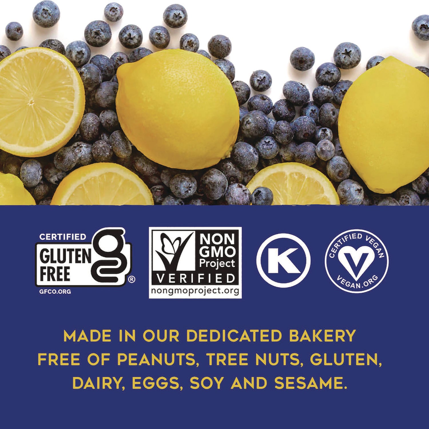 Warm 'N Chewey Gluten-Free Blueberry/Lemon Seed and Oat Bar, 1.6 oz Bar, 9/Box