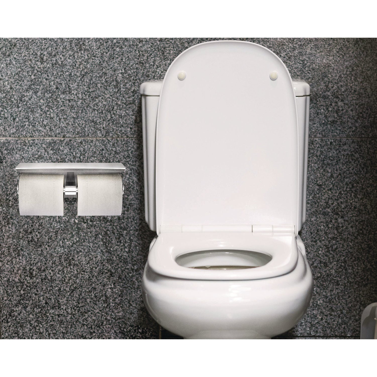 Double Post Toilet Paper Holder with Shelf Storage Rack, 3.87 x 10.5 x 3.95, Brushed Stainless Steel