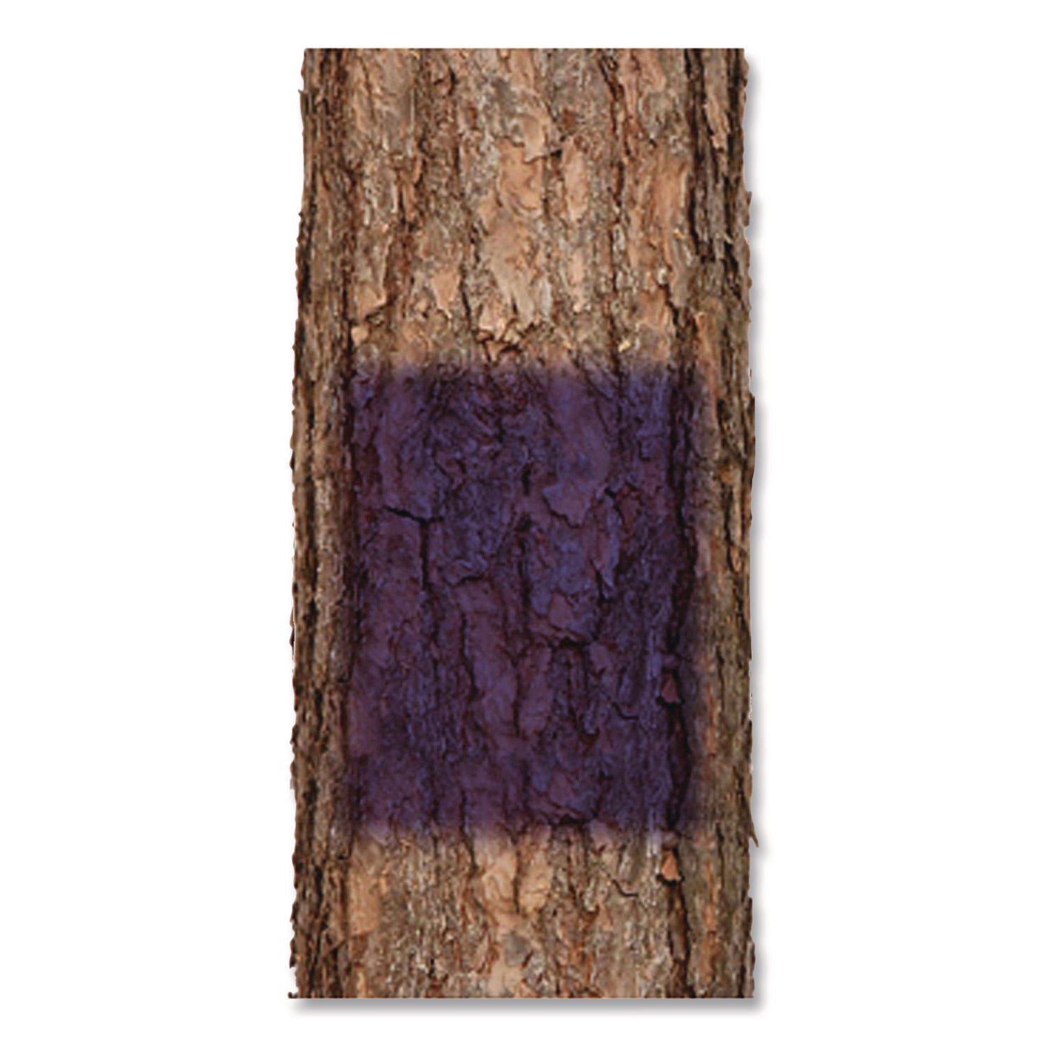 Specialty No Hunting Purple Spray Paint, Flat No Hunting Purple, 12 oz Aerosol Can, 6/Carton