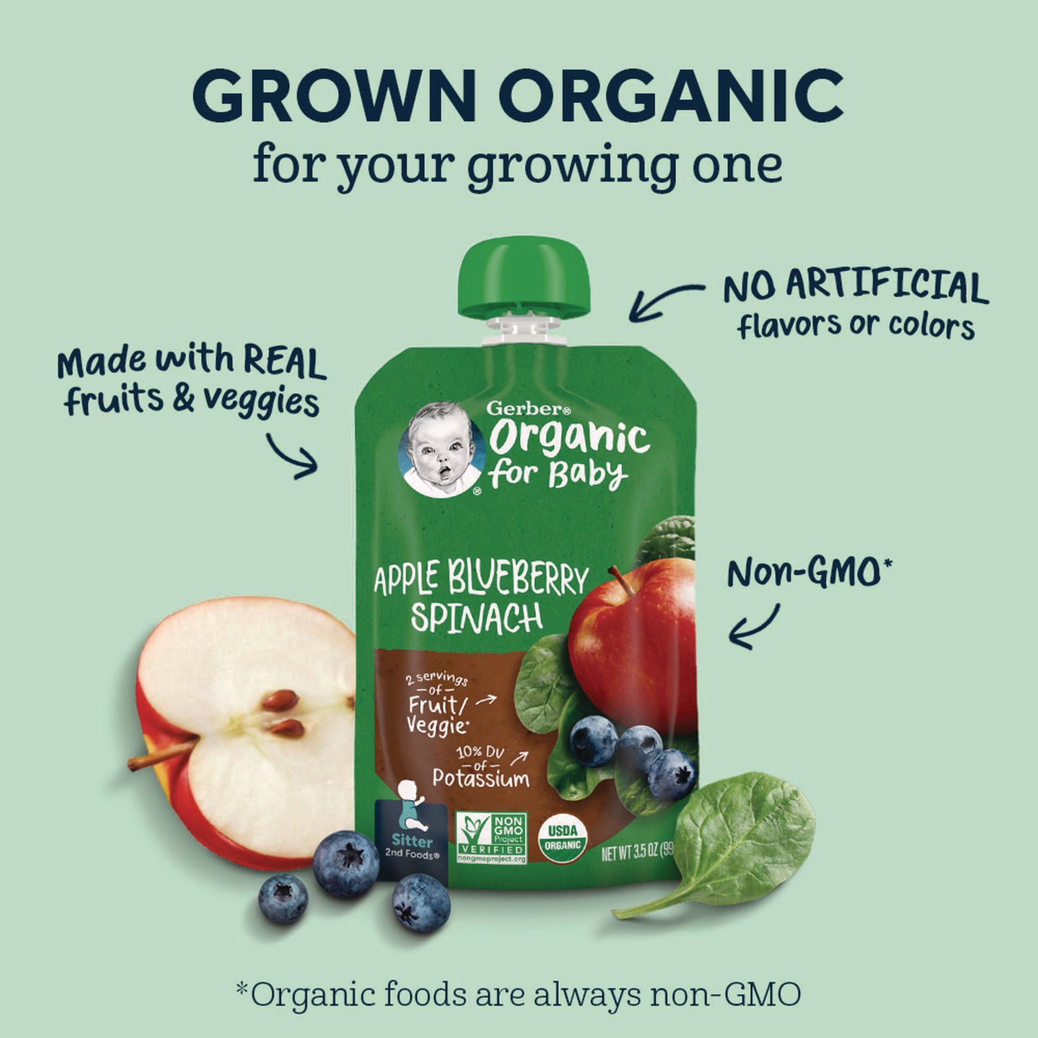 Organic 2nd Foods Baby Food Pouches, Assorted Flavors, 3.5 oz Pouch, 12/Carton