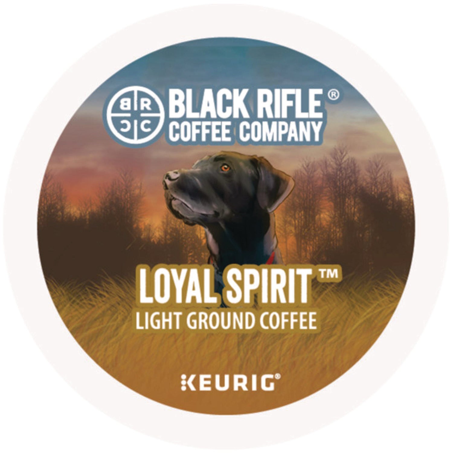 Loyal Spirit Coffee K-Cups, 88/Carton