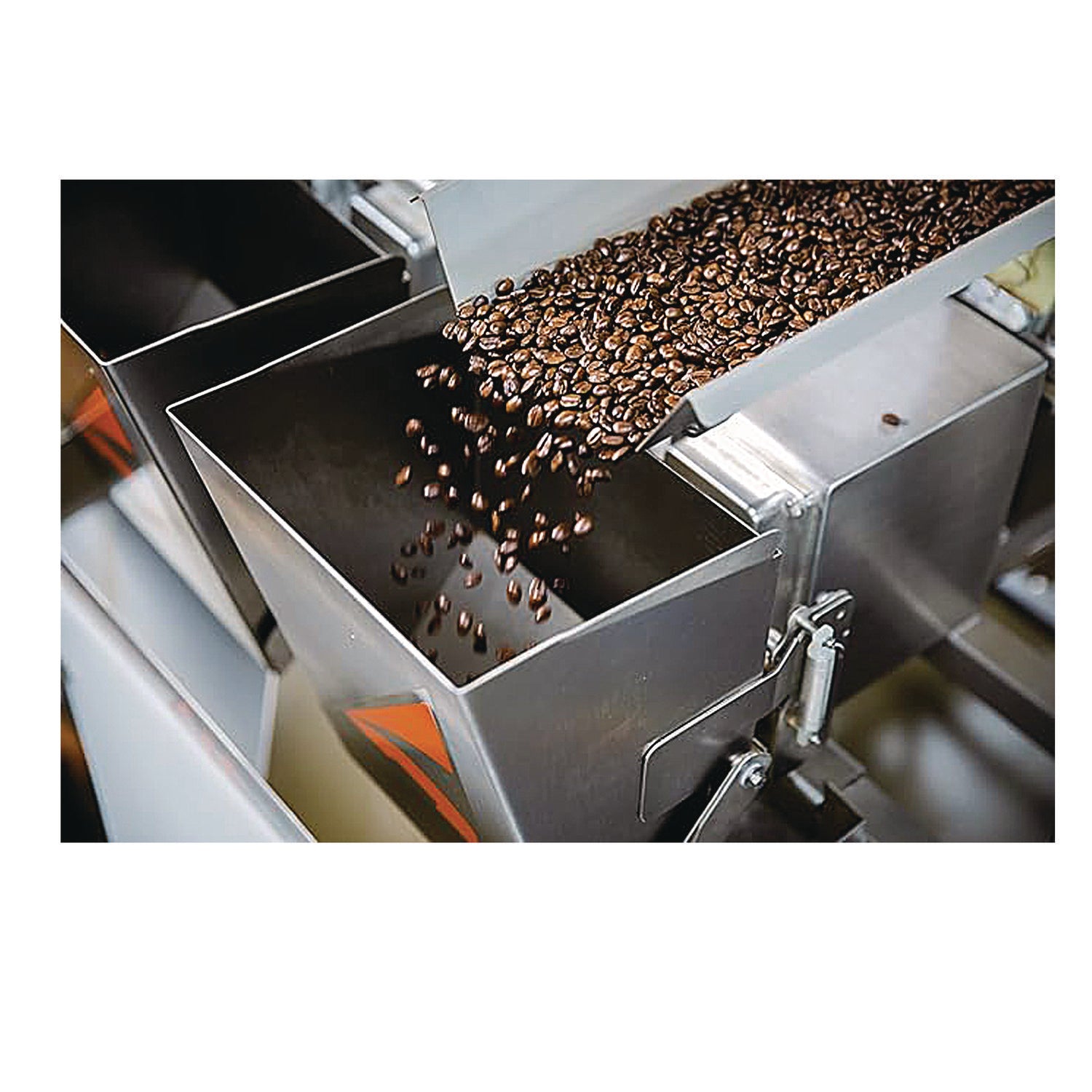 Madalyn's Backyard Pecan Ground Coffee, 12 oz Bag