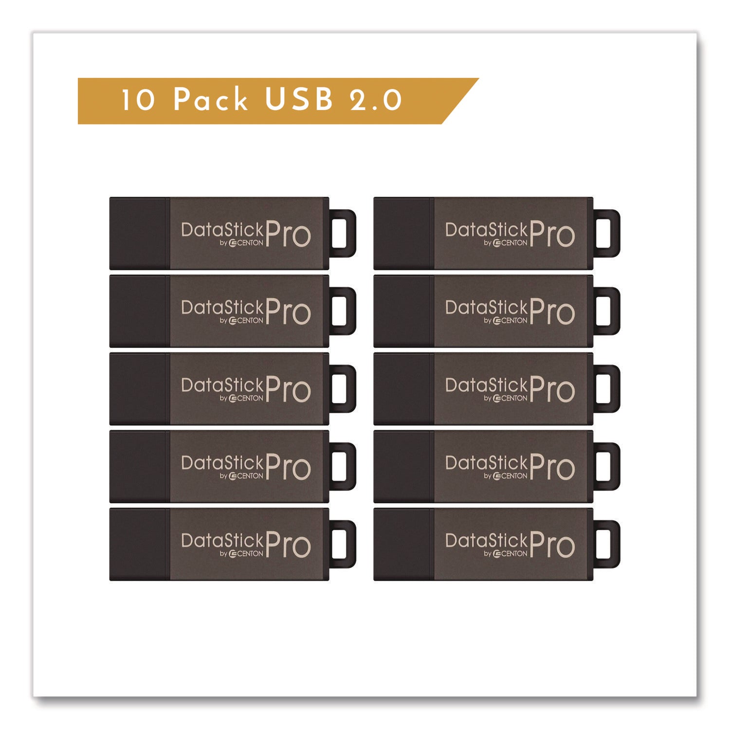 DataStick Pro USB 2.0 Type A Flash Drive, 16 GB, Gray, 10/Pack