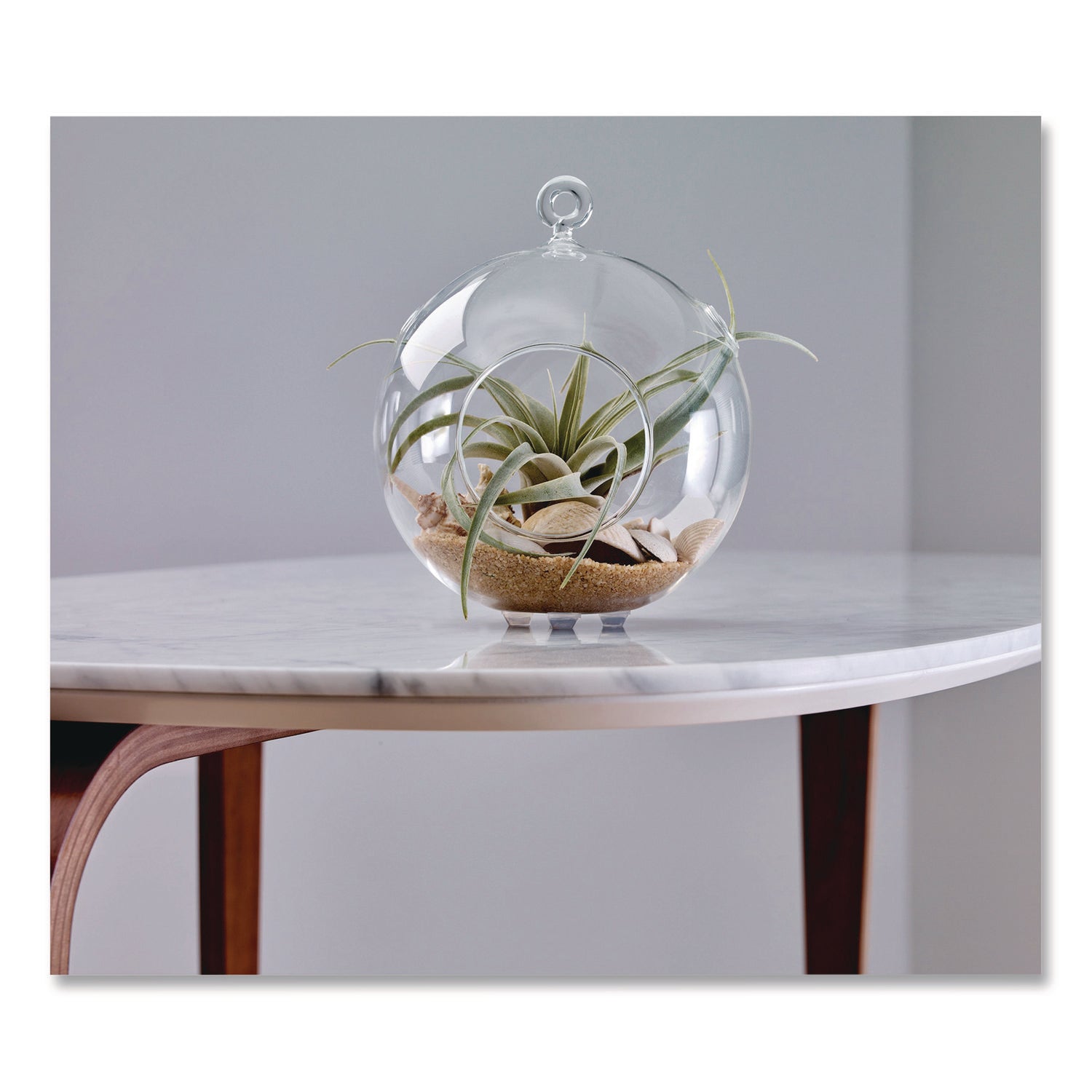 Round - Transparent - Rubber - 1Pack