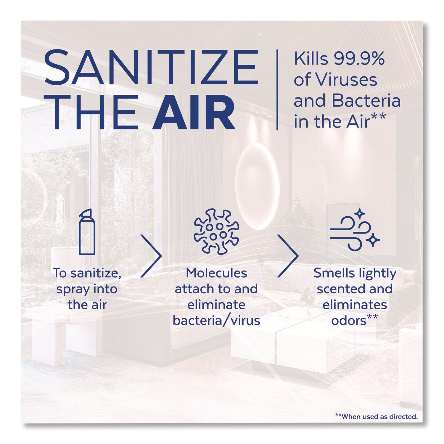 Air Sanitizer Spray, Simple Fresh Scent, 10 Oz Aerosol Spray