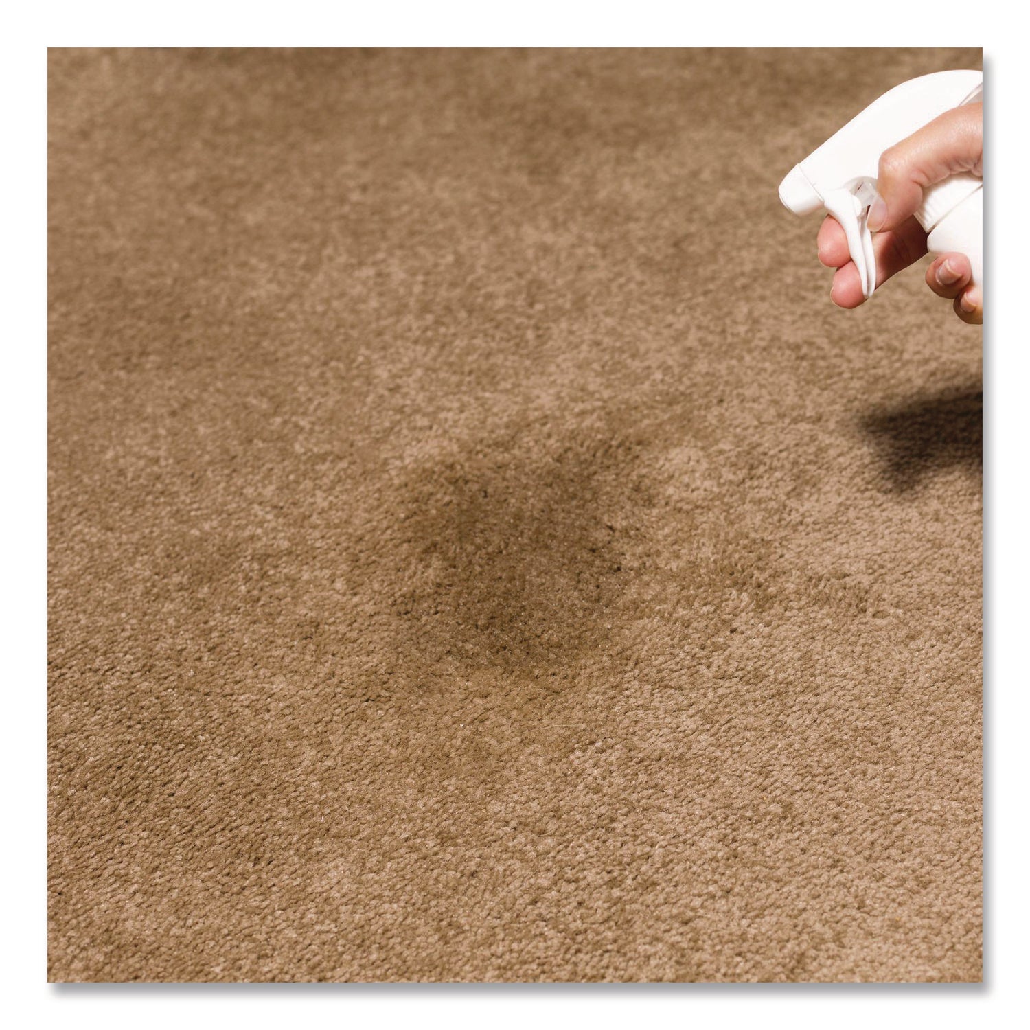 Carpet Stain Remover Plus Deodorizer, Lemon Scent, 32 oz Spray Bottle, 6/Carton