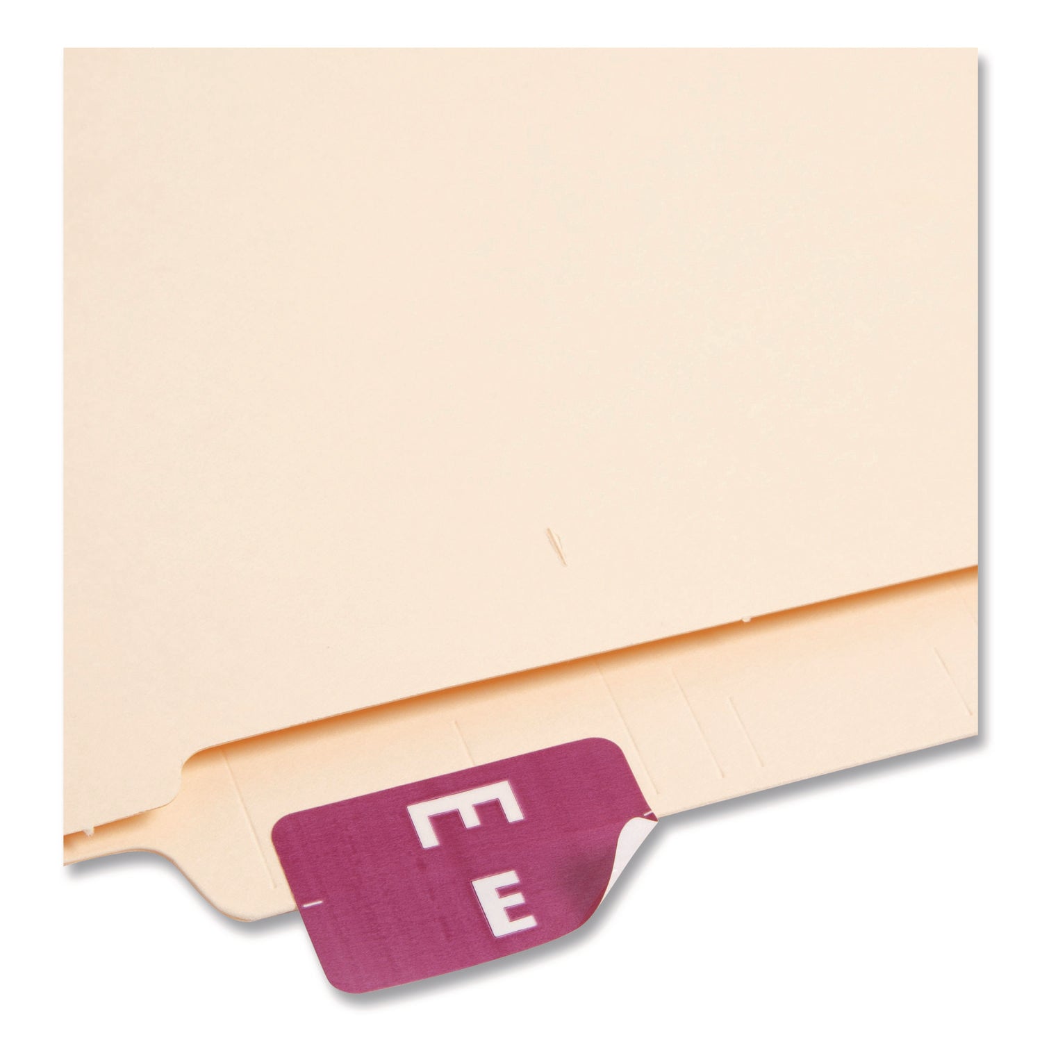 Smead AlphaZ ACCS Color-Coded Labels - E - x 1" Width x 1 5/8" Length - Purple - Laminated - 10 / Sheet - 1 Pack