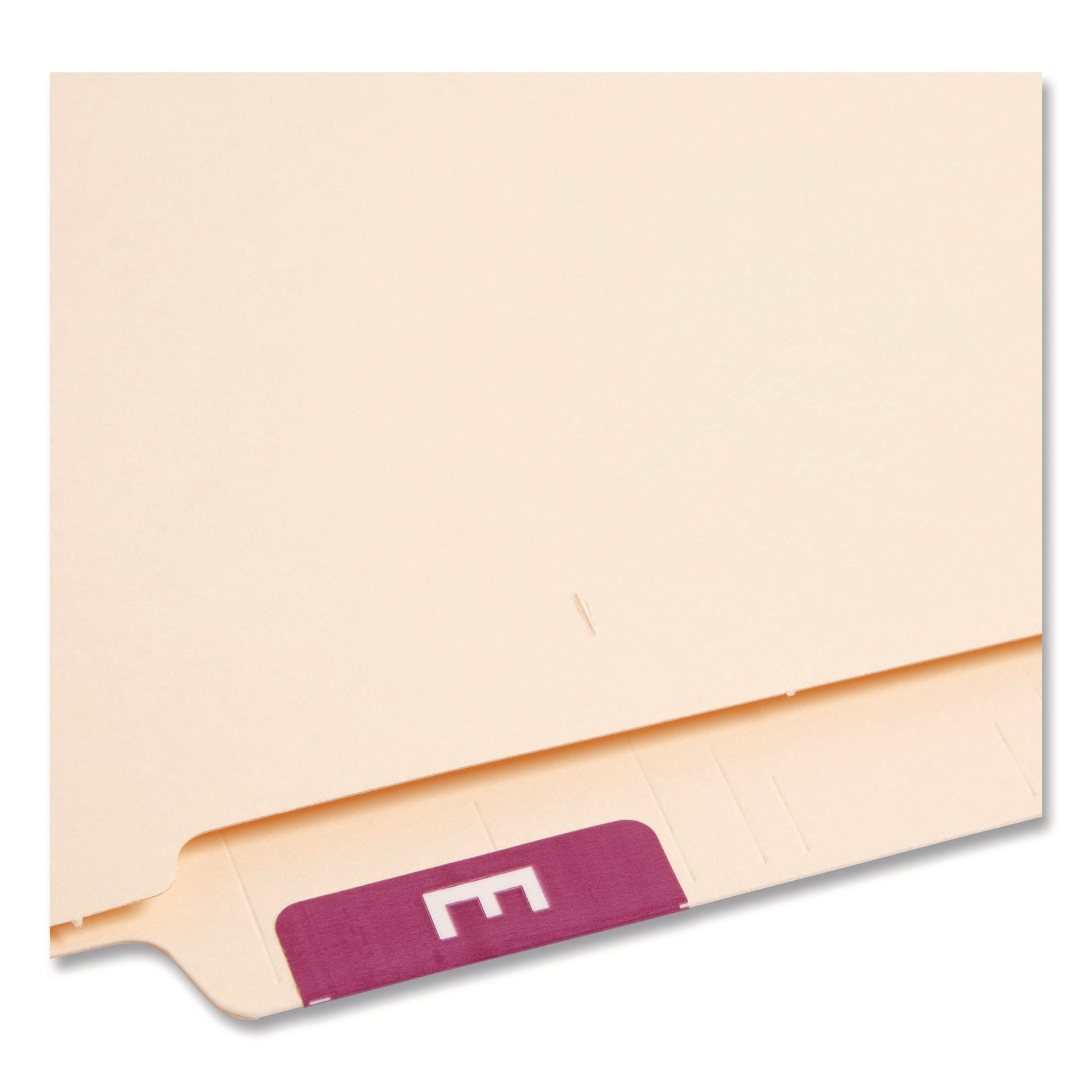 Smead AlphaZ ACCS Color-Coded Labels - E - x 1" Width x 1 5/8" Length - Purple - Laminated - 10 / Sheet - 1 Pack