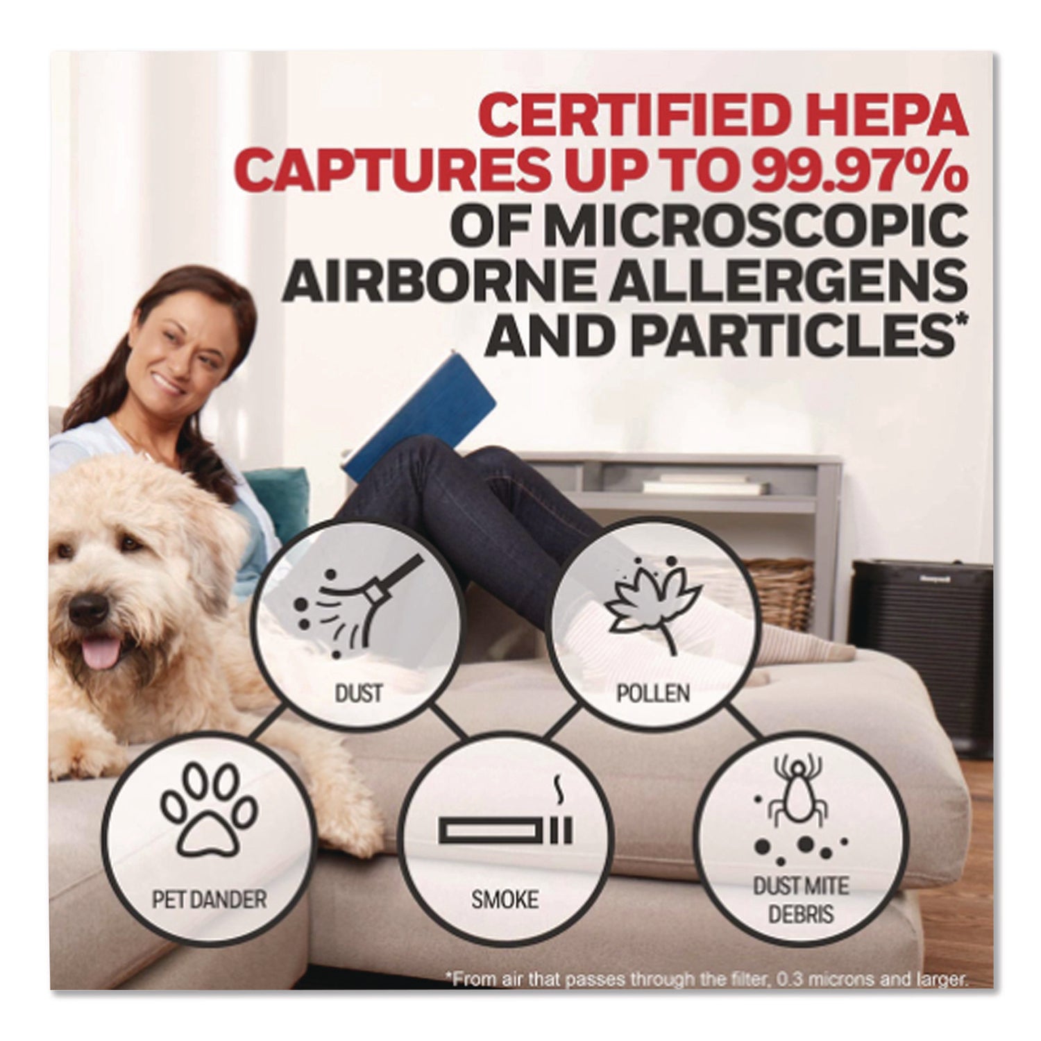 Honeywell HEPA Air Purifier R Filter - HEPA - For Air Purifier - Remove Allergens - 100% Particle Removal Efficiency - 0.30 &micro;m Particles - 10.3" Height x 1.6" Width x 6.5" Depth - 1 Each