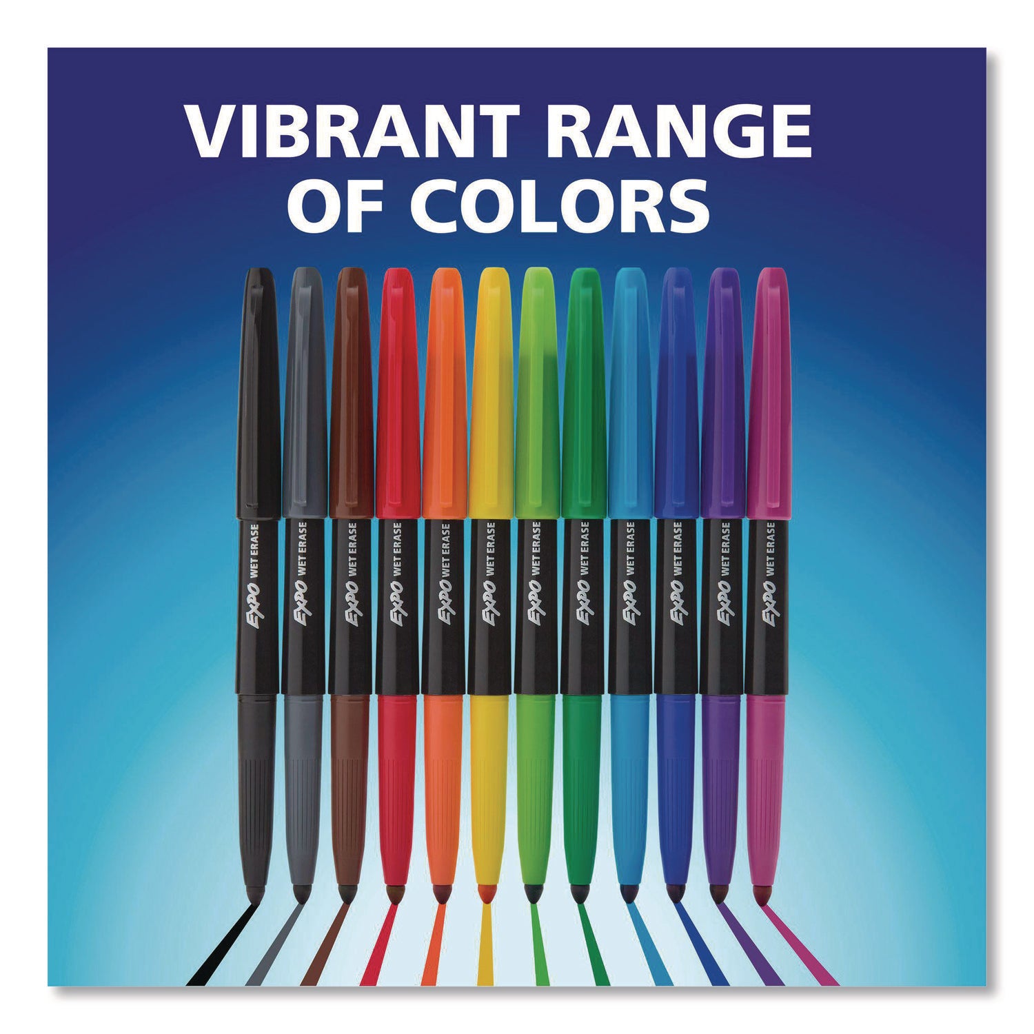 Vis-a-Vis Wet Erase Markers, Ultra Fine Point, Assorted, 12 Count