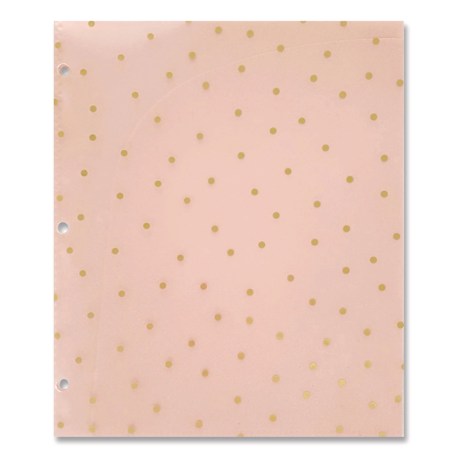 Panache Glossy 3-Hole Punched 6-Pocket Folder, 11 x 8.5, Assorted