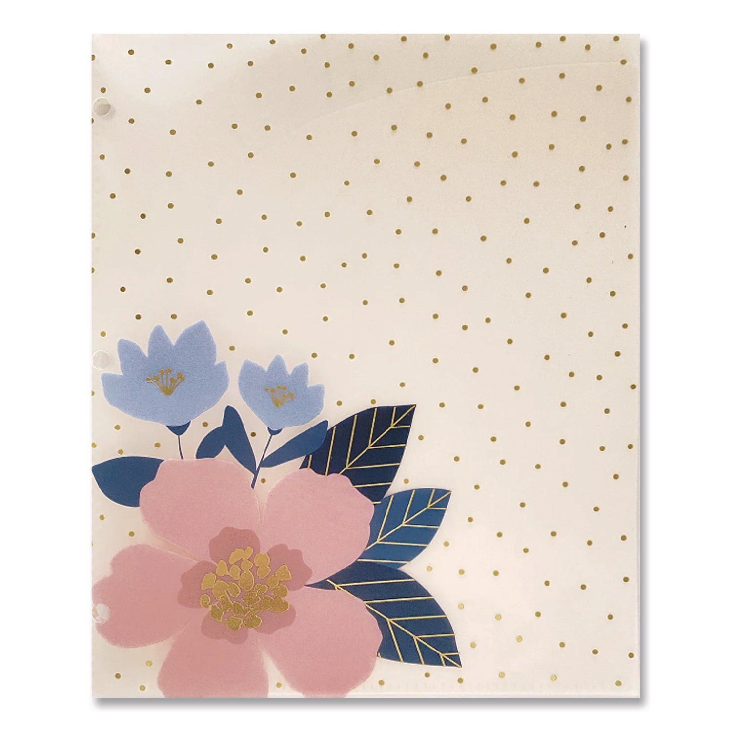 Panache Glossy 3-Hole Punched 6-Pocket Folder, 11 x 8.5, Assorted