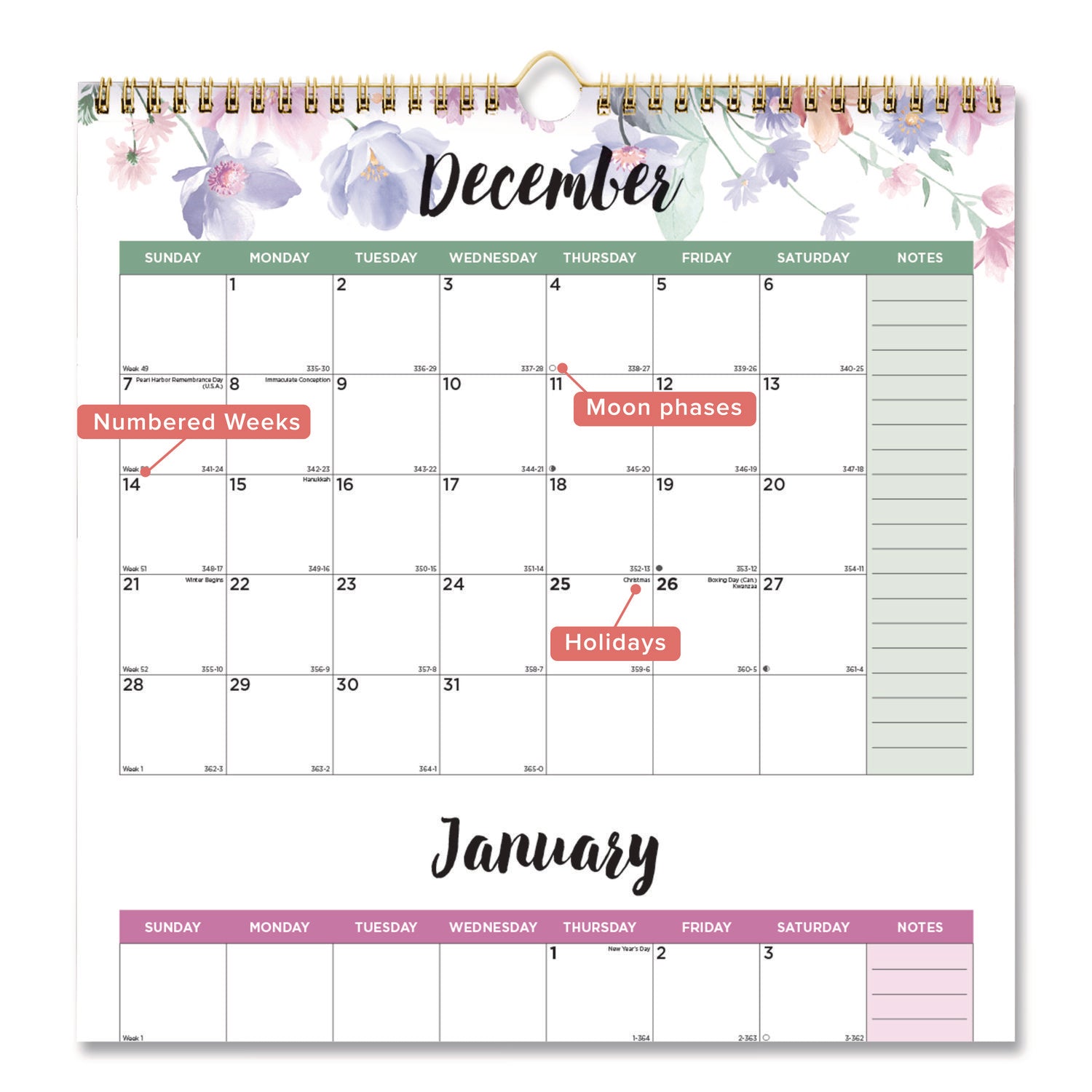 Blueline 3-Month Colorful Wall Calendar