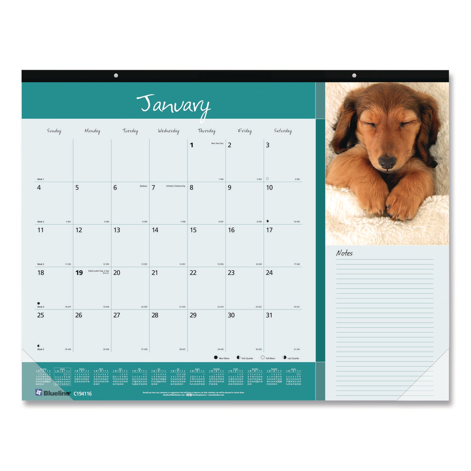 Blueline Man's Best Friend Dogs Desk Pad Calendar