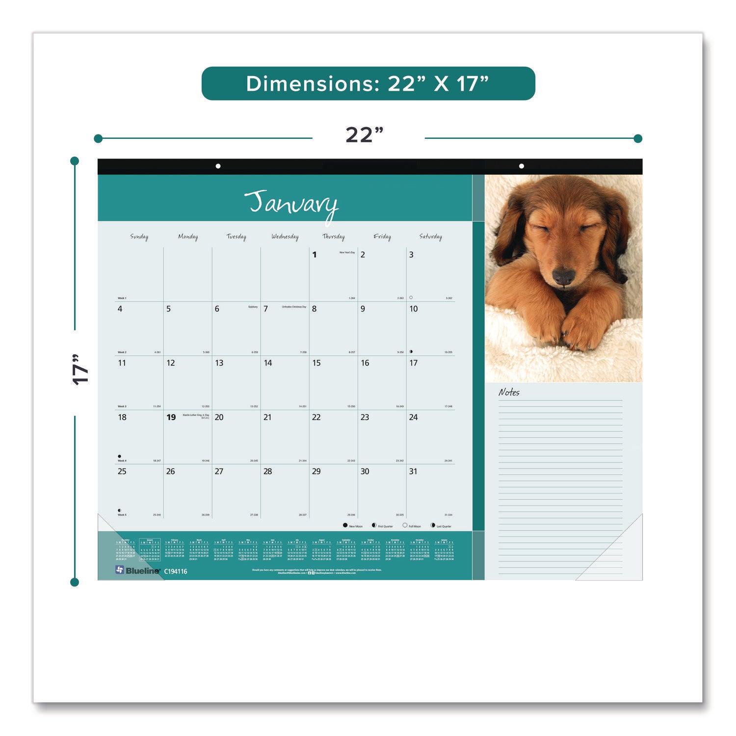 Blueline Man's Best Friend Dogs Desk Pad Calendar