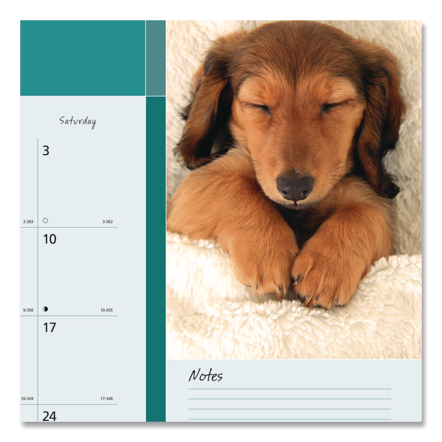 Blueline Man's Best Friend Dogs Desk Pad Calendar