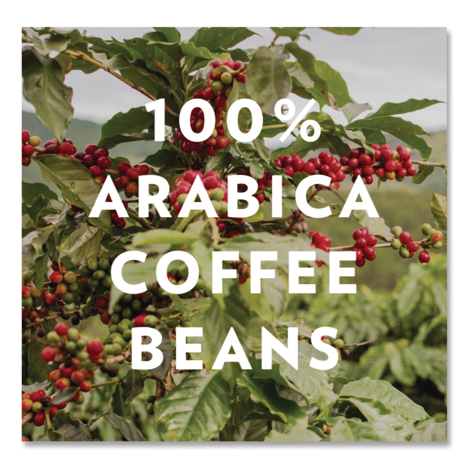 Cafe Special, 2.5 oz Packet, 40/Carton