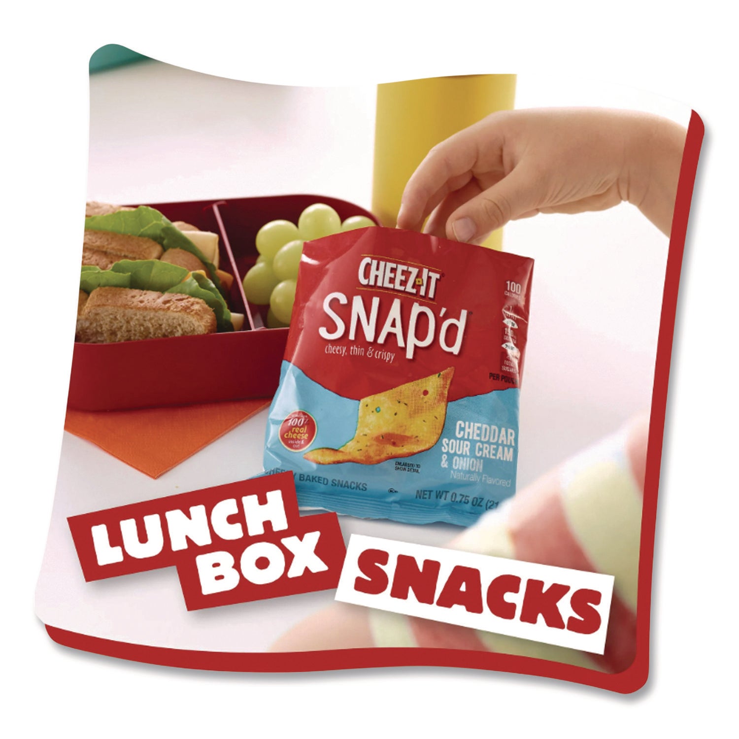 Cheddar Sour Cream, Onion - 6 / Carton