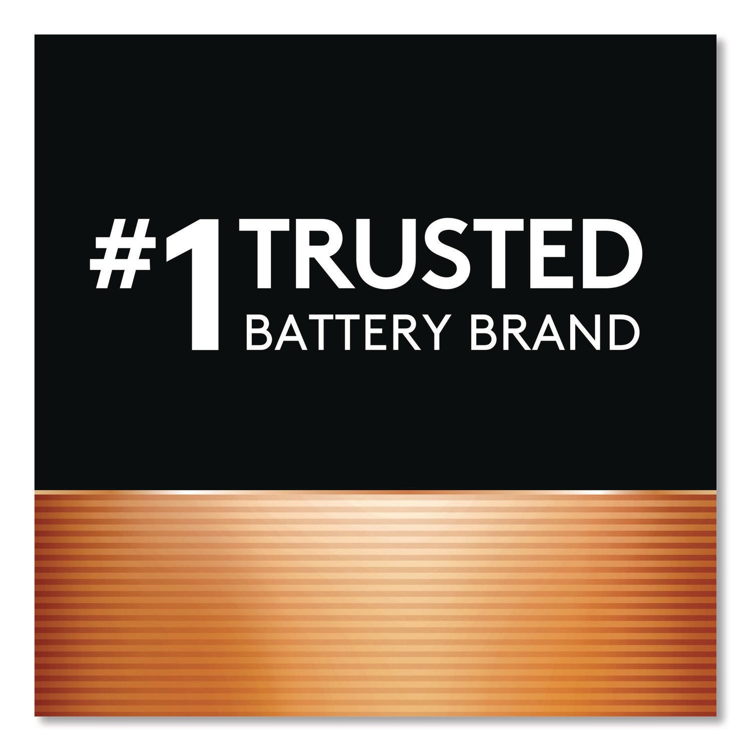 Hearing Aid Battery, #13, 8/pack