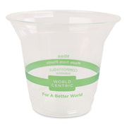 PLA Clear Cold Cups, 10 oz, Plastic, Clear, 1,000/Carton