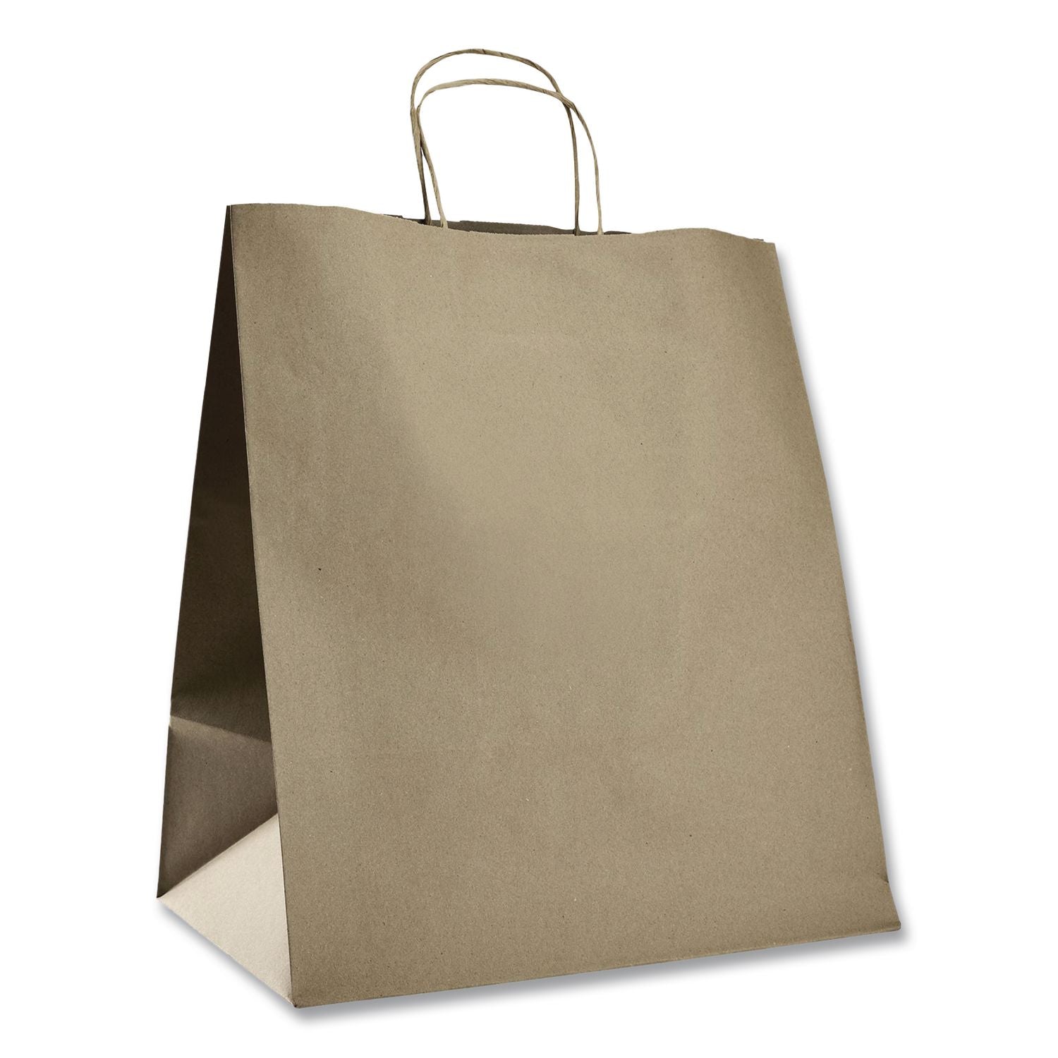 Huntington Paper Shopping Bag, Rope Handles, Large Size, 13.4 X 9.3 X 15.9, Kraft, 200/Carton