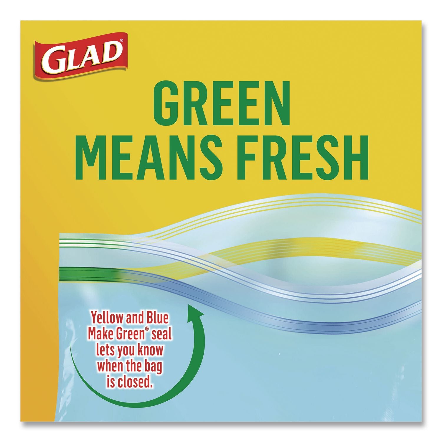 Zipper Food Storage Plastic Bags, Gallon Size, 10.75 X 10.38, Clear, 15 Bags