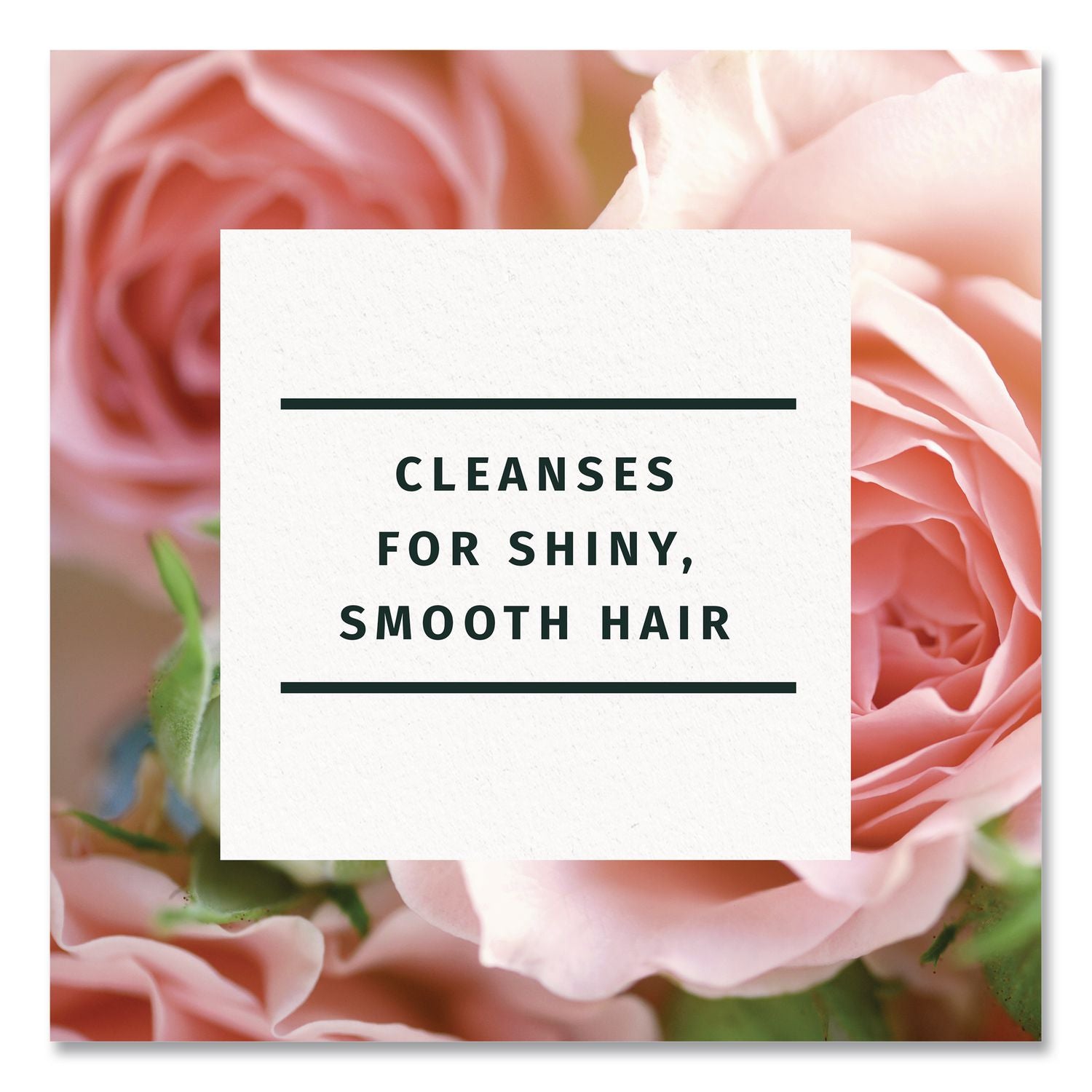 Smoothing Shampoo, Rose Hips Scent, 3.38 Oz, 24/Carton