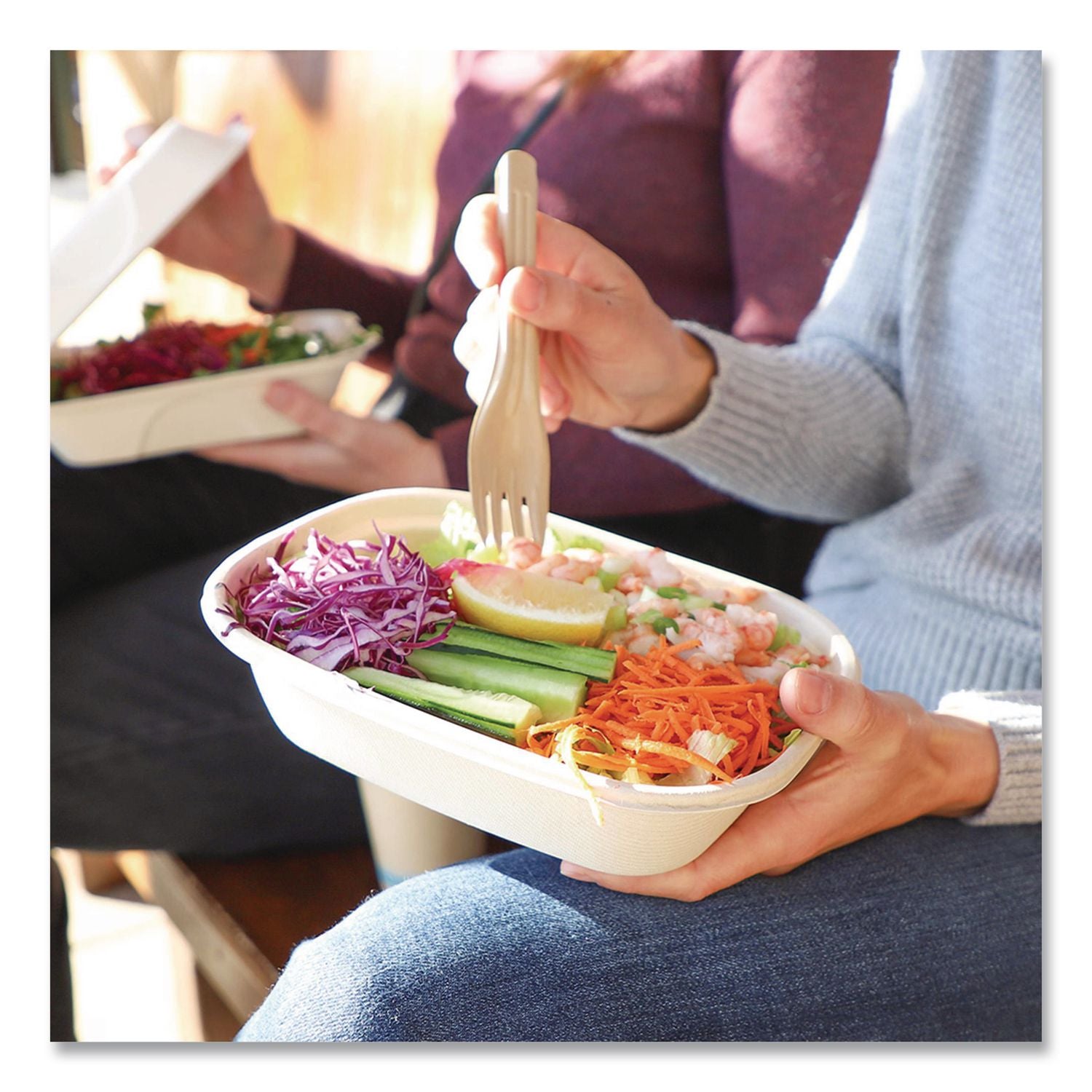 Notree Cutlery, Light Mediumweight, Fork, Paper, Natural, 1, 000/Carton