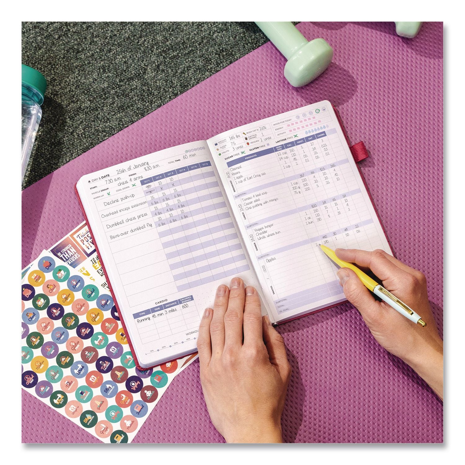 Fitness And Food Journal, 90-Day Daily/Monthly Format, Engraved Health/Athletics Artwork, Fushia Cover, 8.3 X 5.8 Sheets