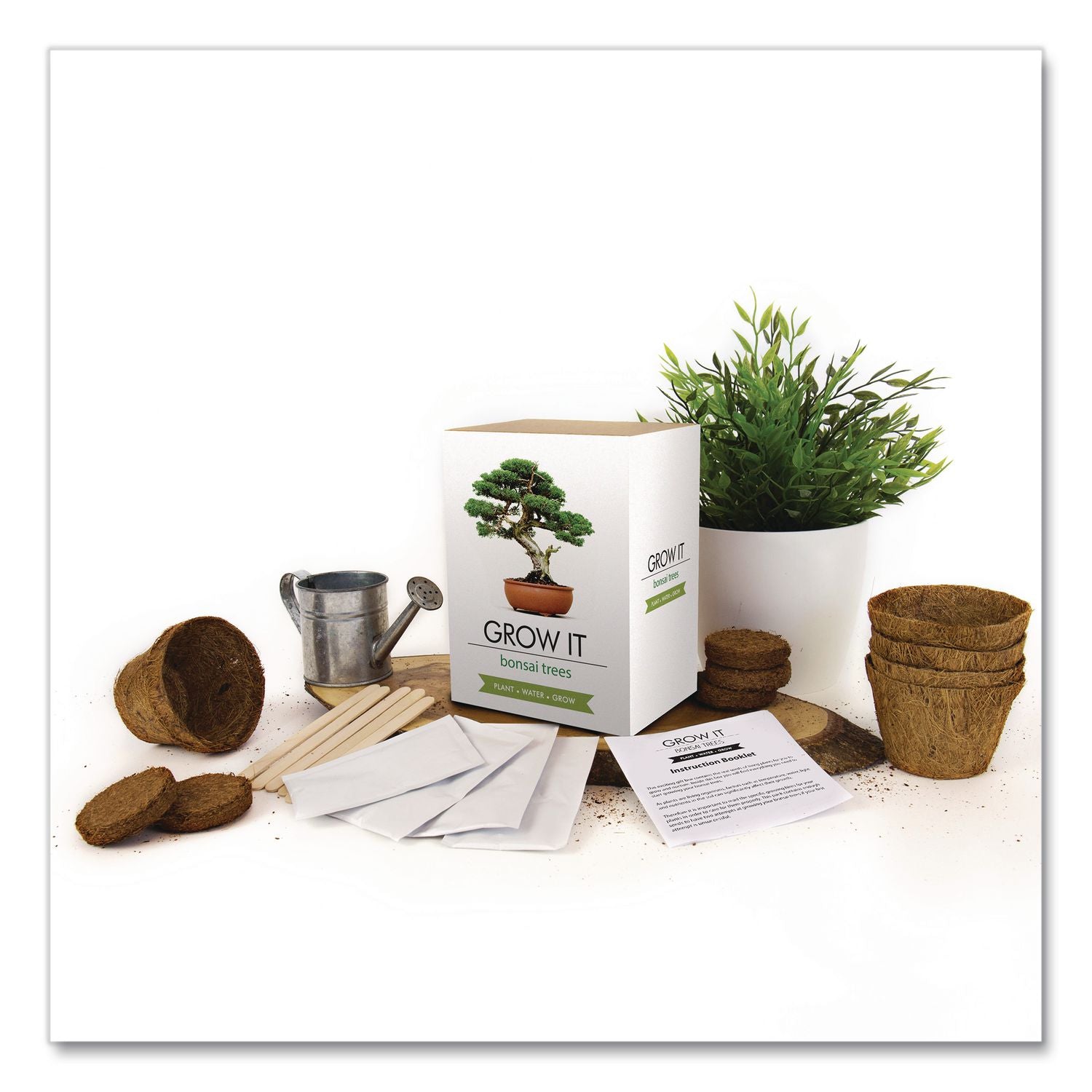 Bonsai Tree Grow Kit