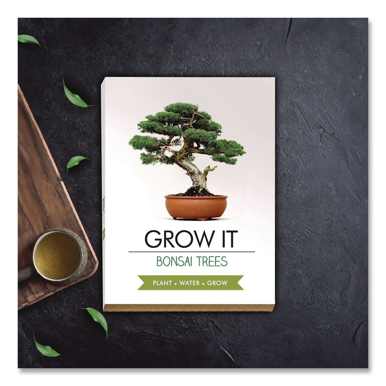 Bonsai Tree Grow Kit