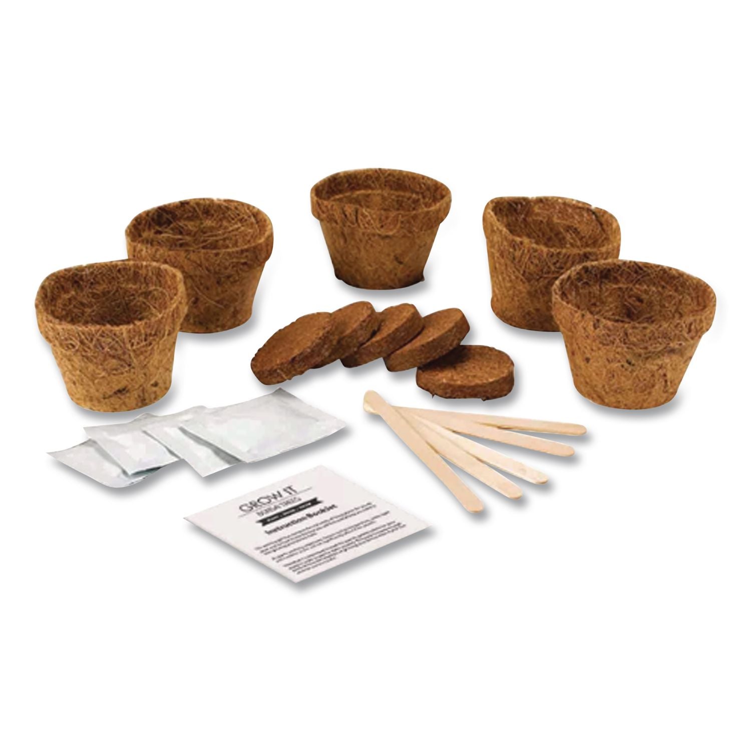 Bonsai Tree Grow Kit