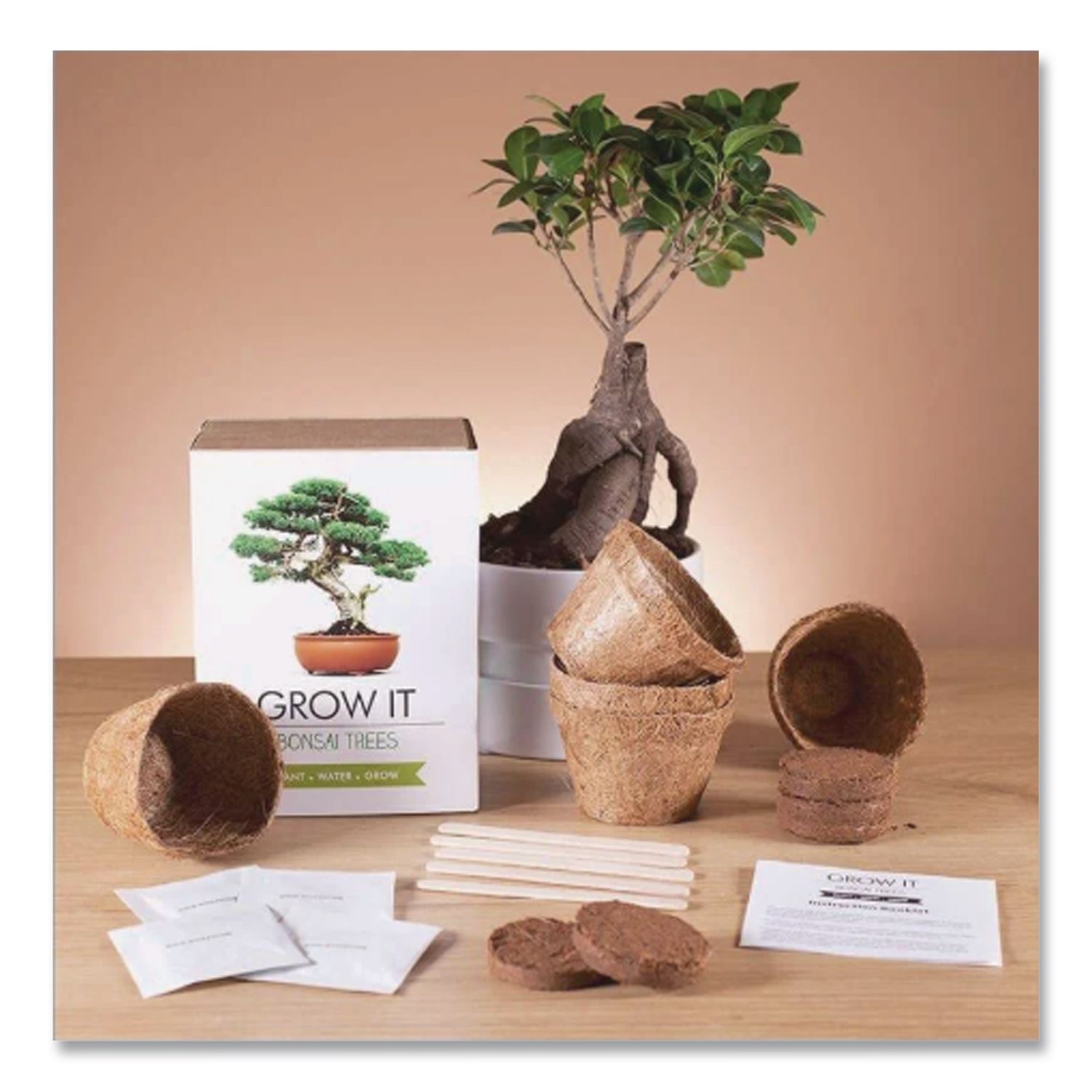 Bonsai Tree Grow Kit