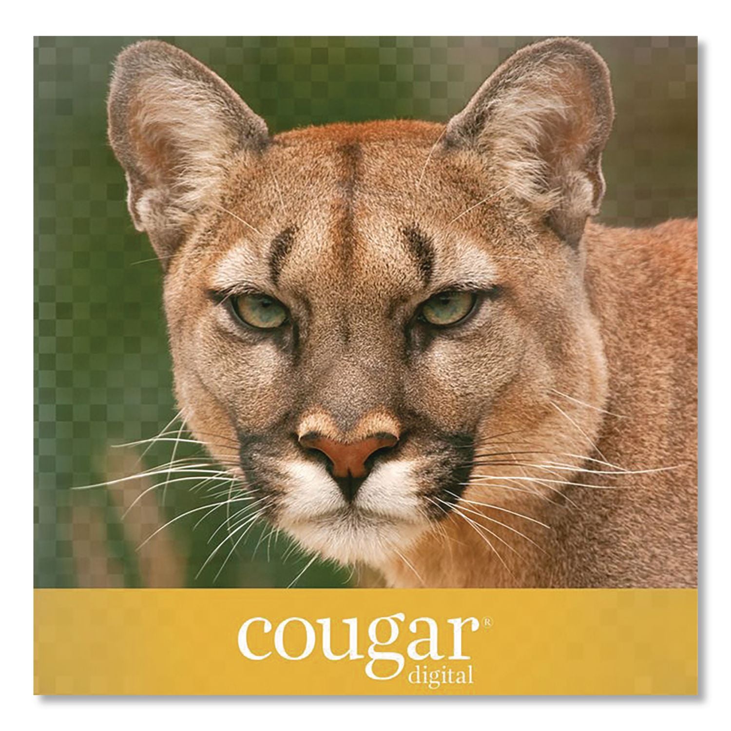 Cougar Digital Business Paper, 98 Bright, 70 Lb Text Weight, 8.5 X 11, White, 500/Ream, 8 Reams/Carton