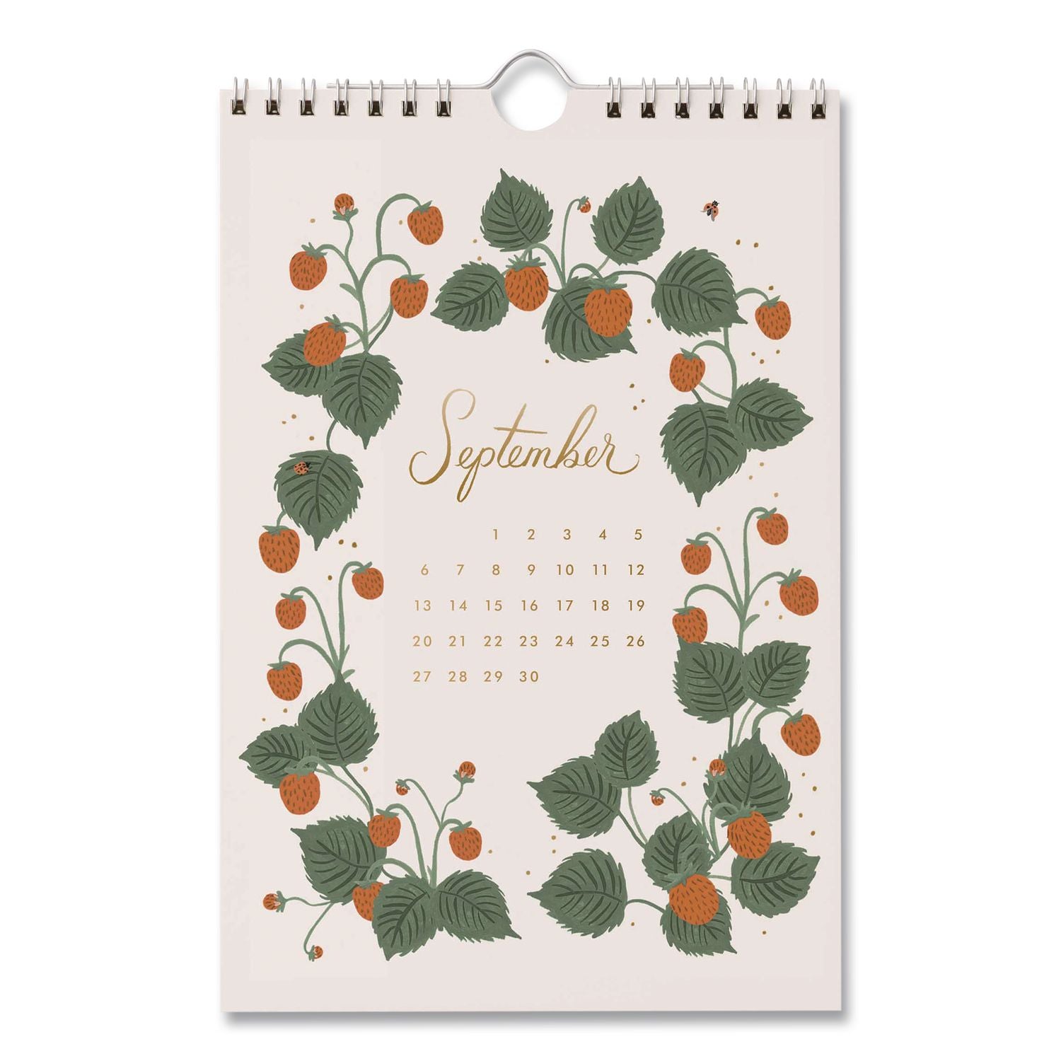 Strawberry Fields Monthly Wall Calendar, 6 X 9, Multicolor Sheets, 12-Month (Jan To Dec): 2026