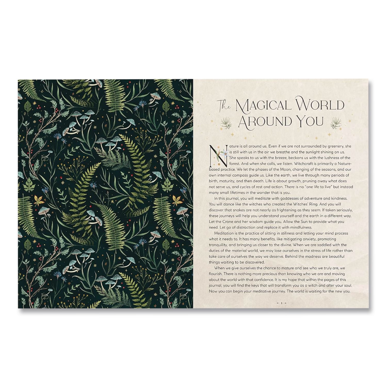 Find Your Magic Prompts Guided Journal, Black/Nature Artwork Cover, (160) 8 X 6 Sheets