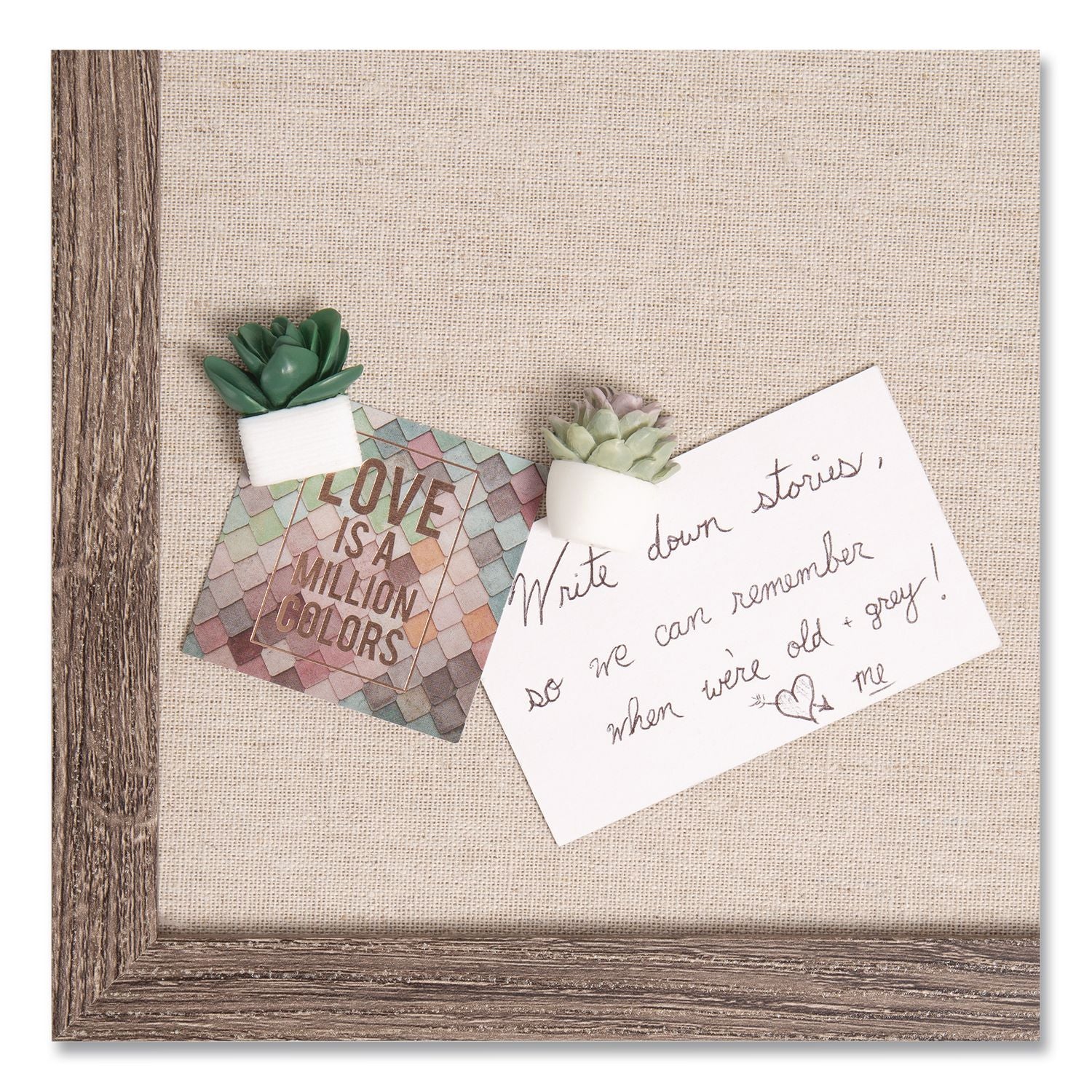 Succulent Push Pins, Green, 9/Pack