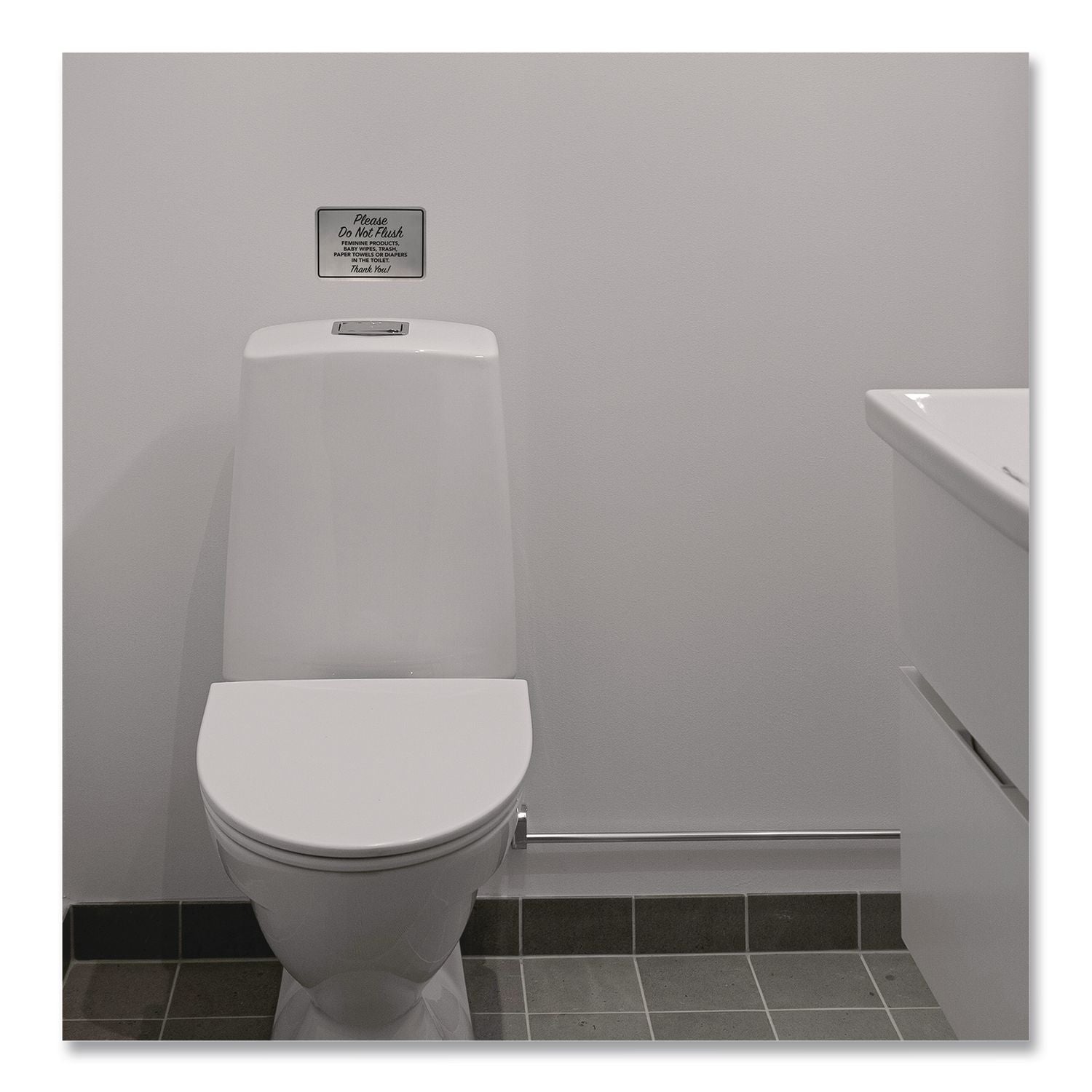 Please Do Not Flush Brushed Metal Sign, 6 X 4, Silver Face