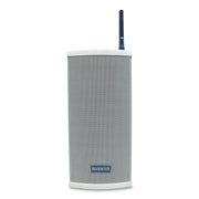 UHF 20 W Wireless Loud Speaker, Gray