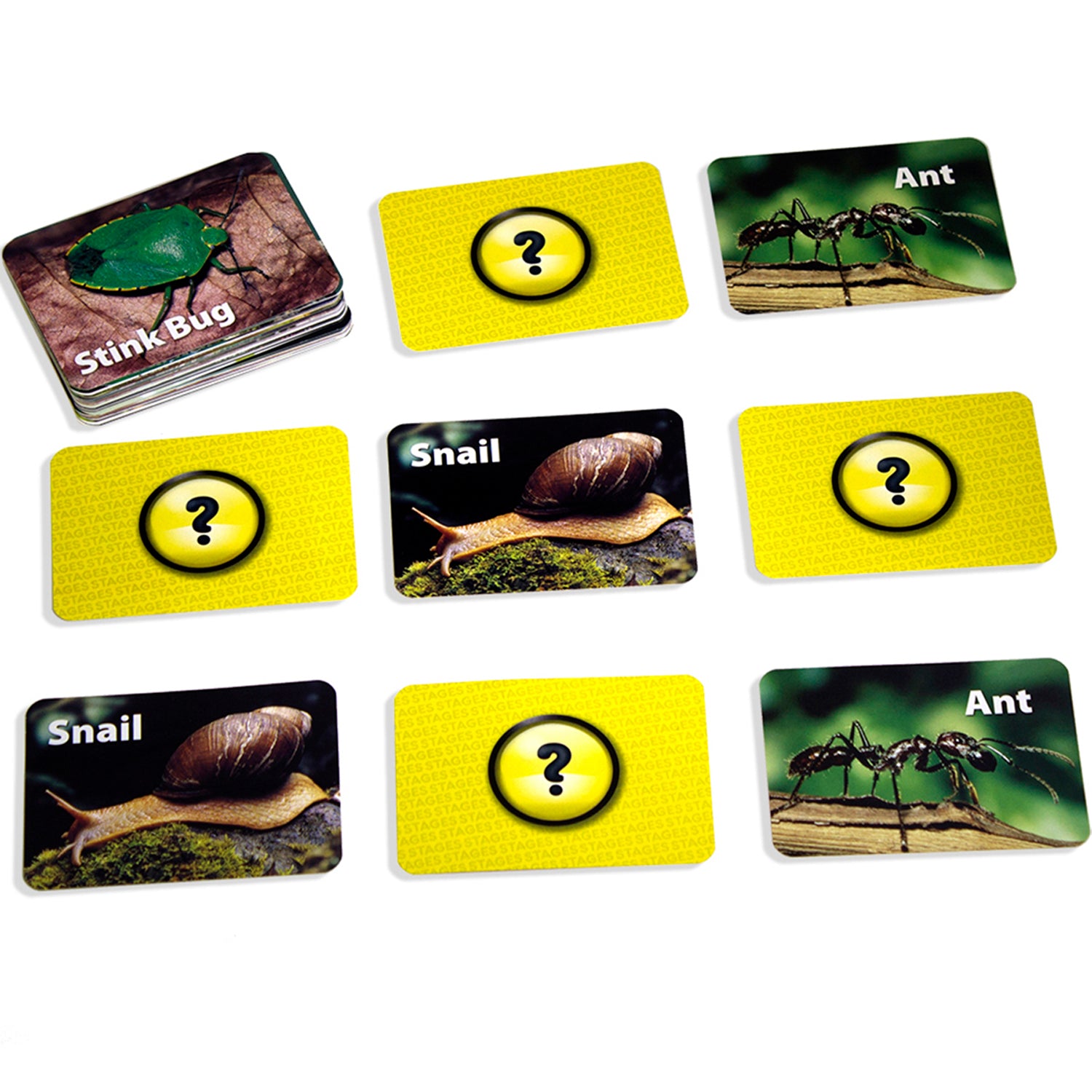 Photographic Memory Matching Game, Insects & Bugs