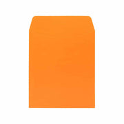 Bright Library Pockets Cantaloupe 3.5"x5", 250