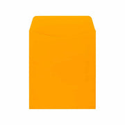Bright Library Pockets Butterscotch 3.5"x5", 30