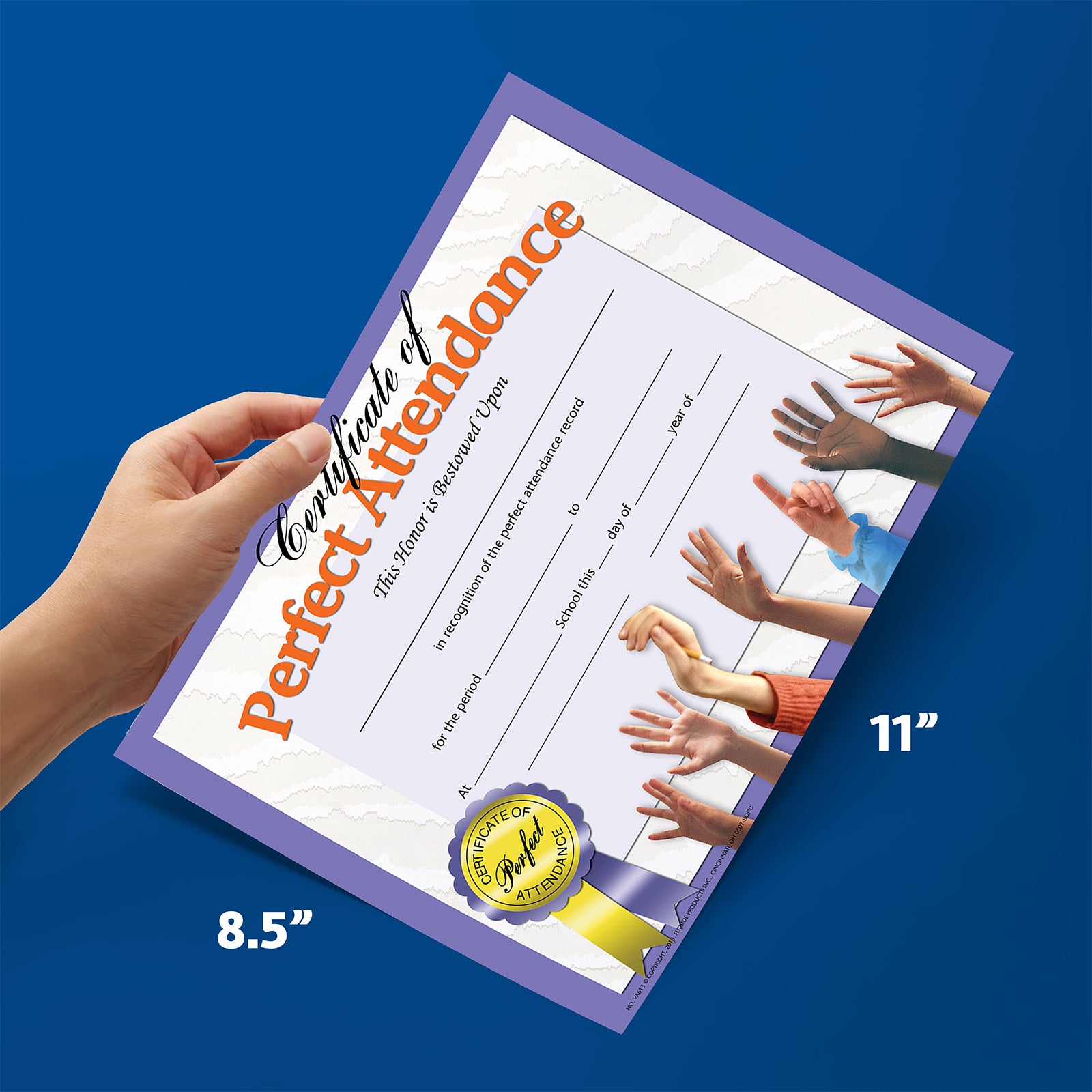 Certificate of Perfect Attendance, 8.5" x 11", Pack of 30