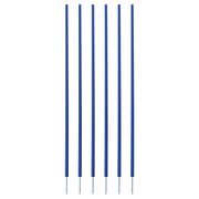 Coaching Sticks Set of 6 Blue