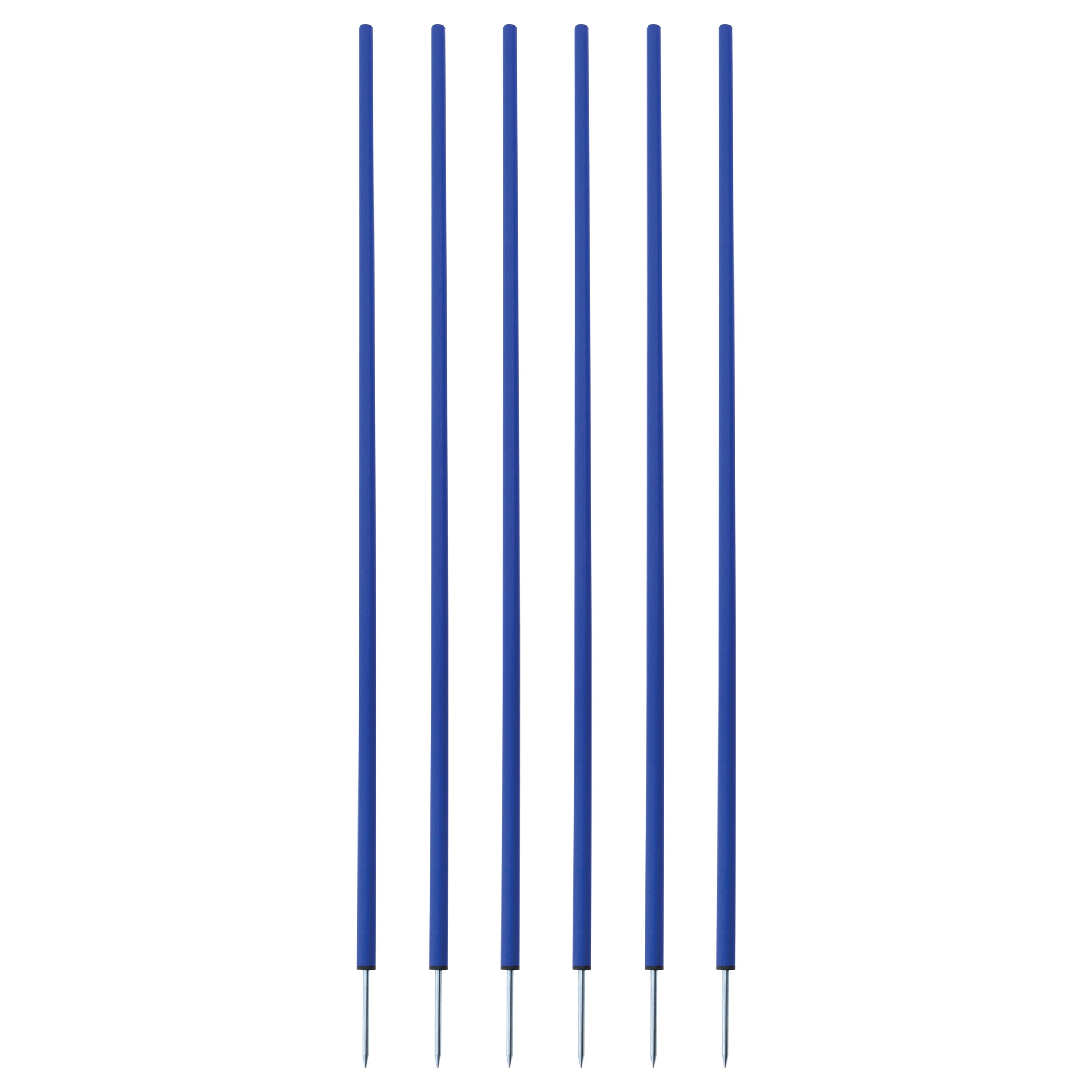 Coaching Sticks Set of 6 Blue