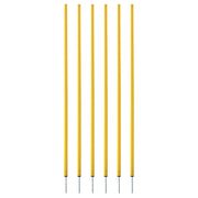 Coaching Sticks Set of 6 Yellow