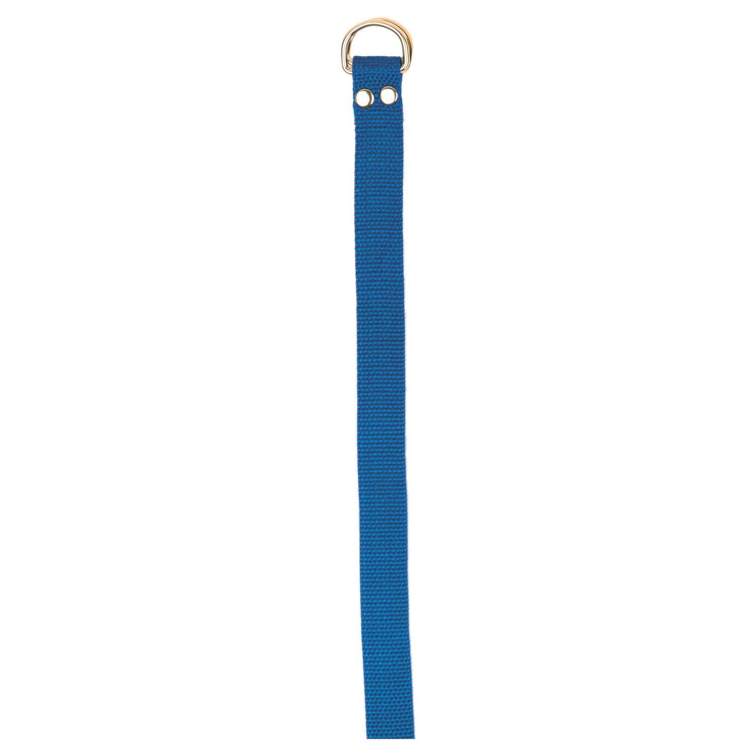 Football Belt Blue