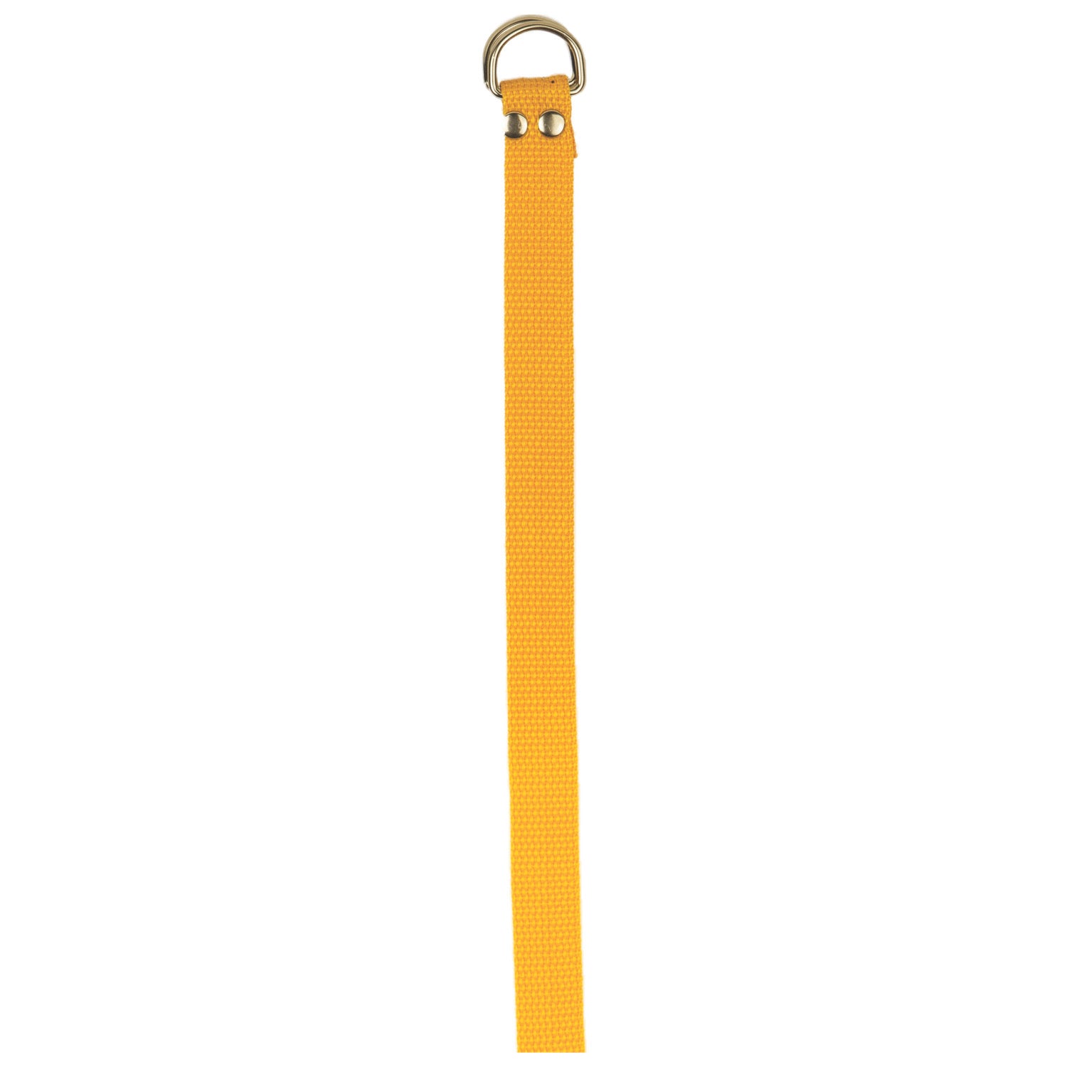 Football Belt Gold