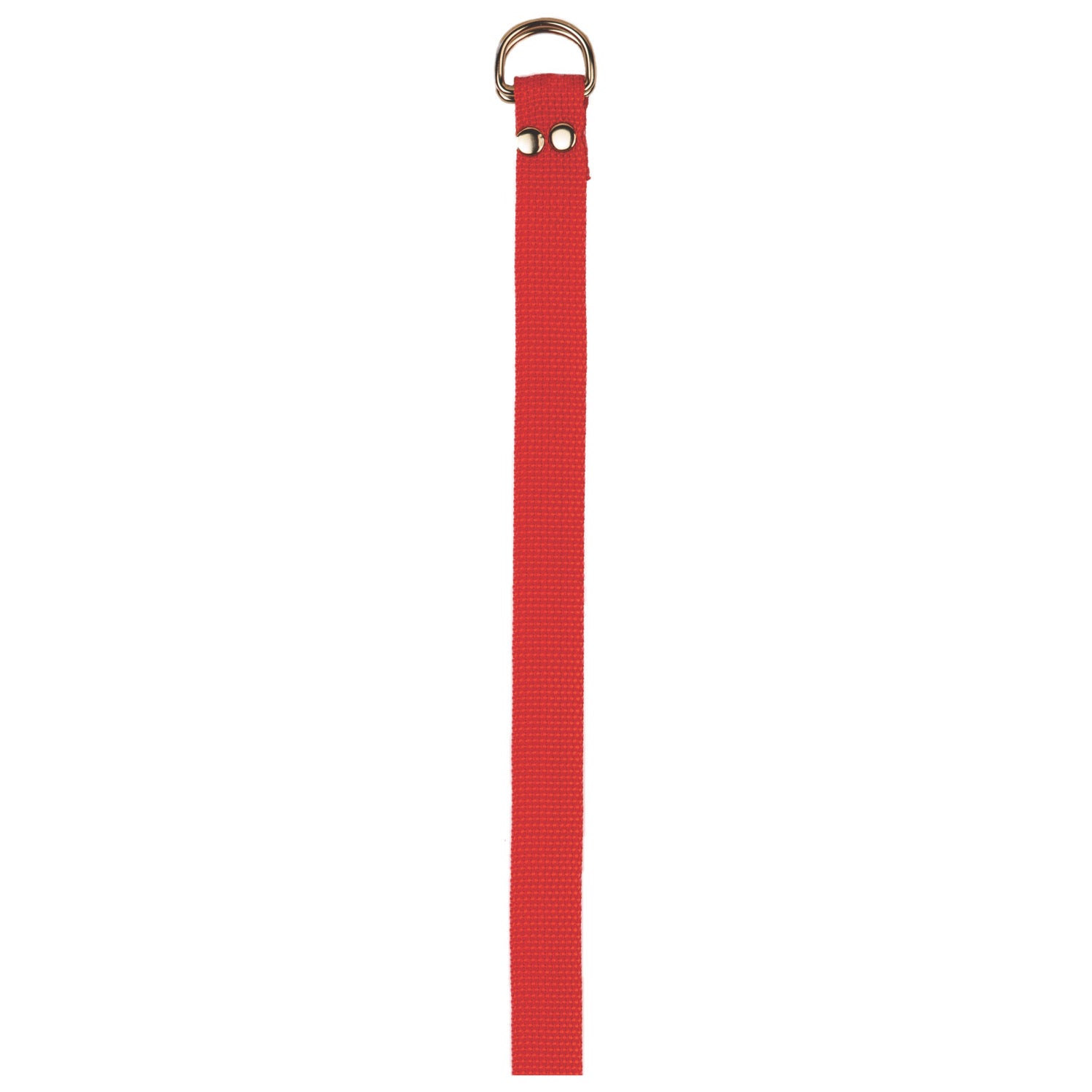 Football Belt Red